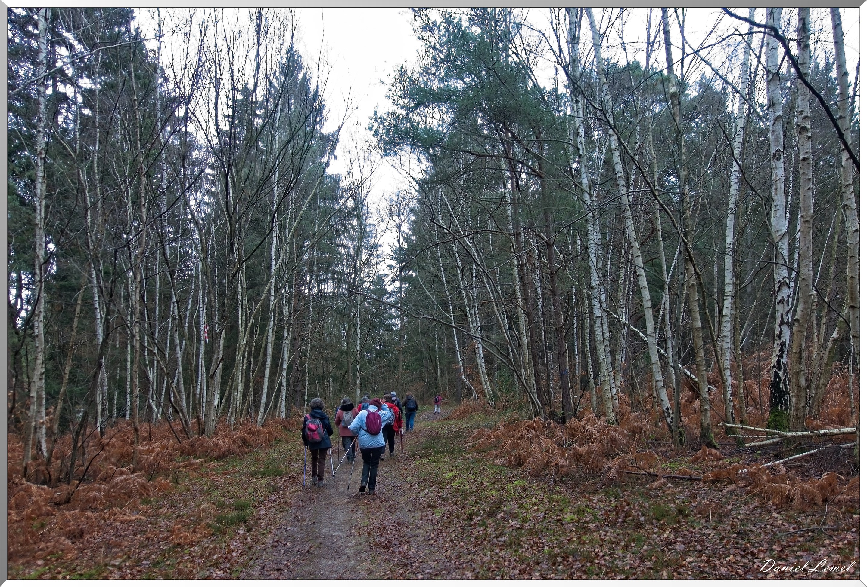 Forêt de Vernon