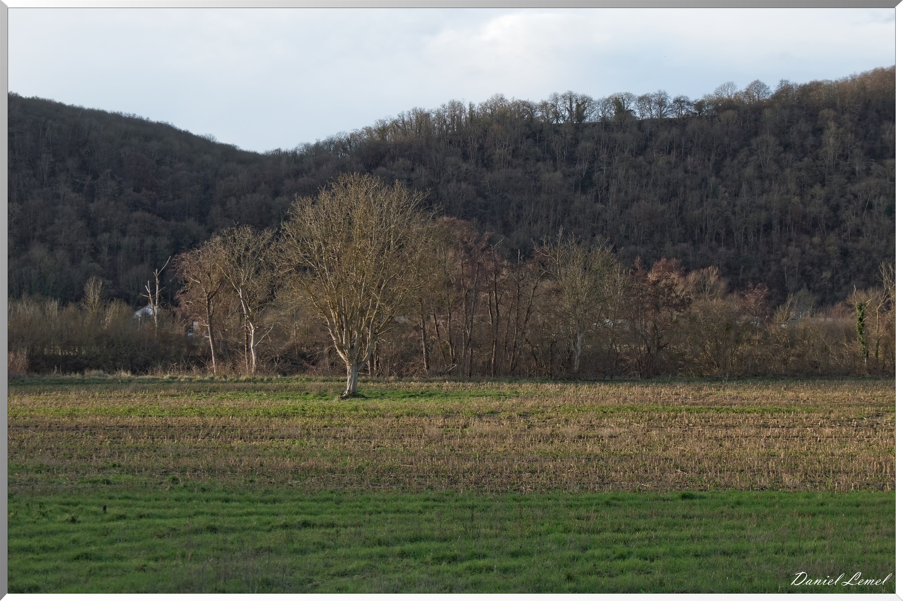 Bennecourt
