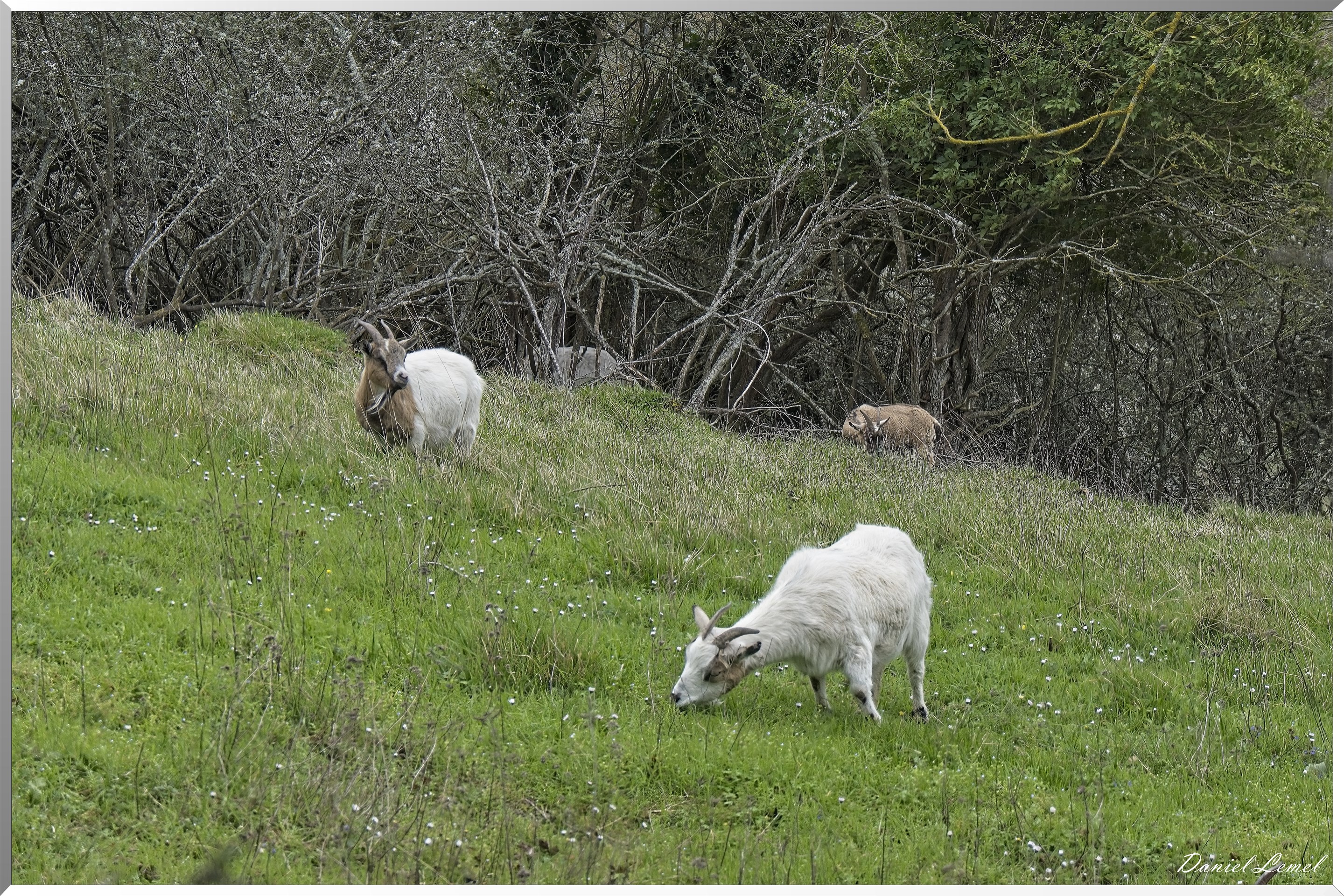 Les-Andelys