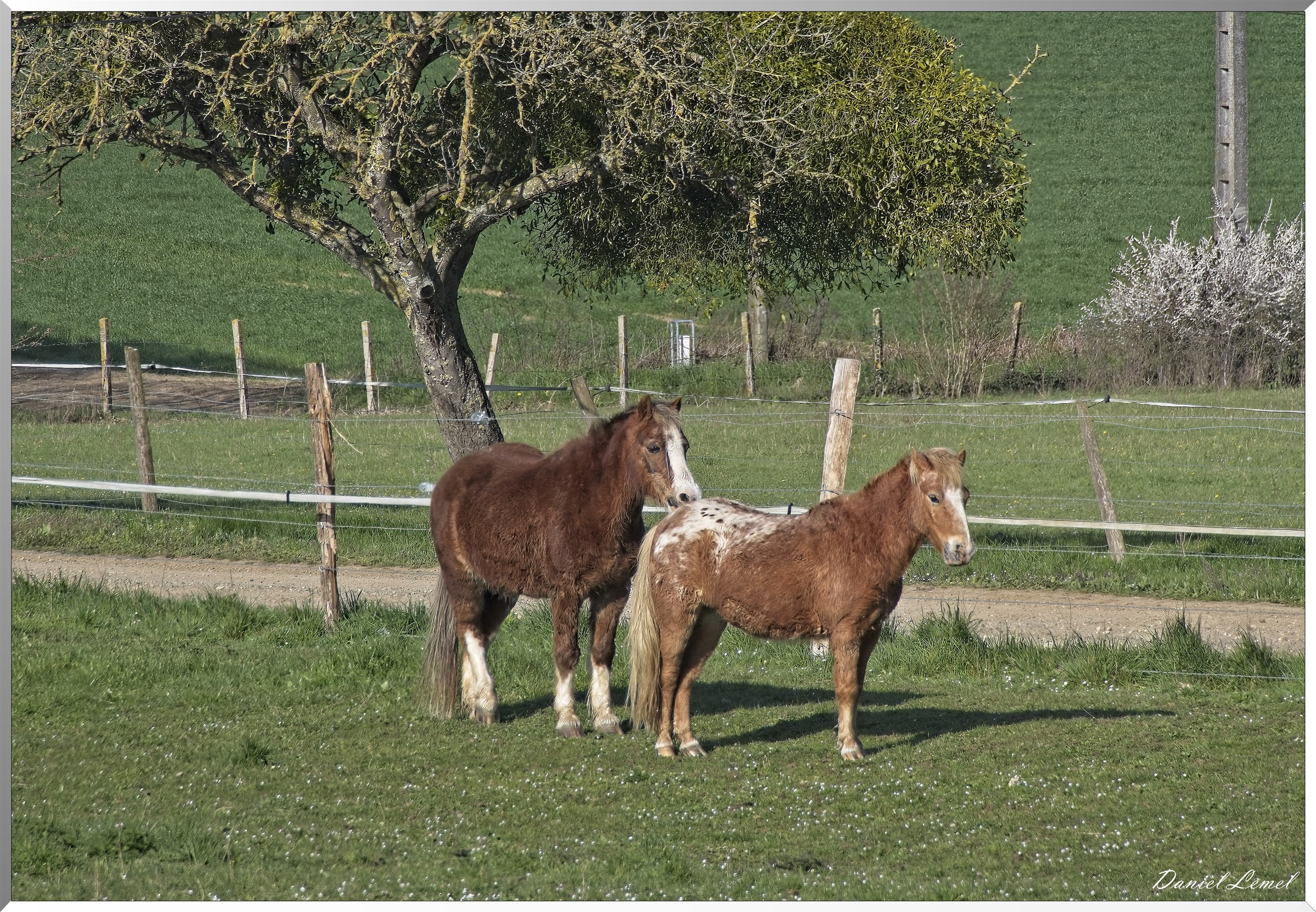 Noyers