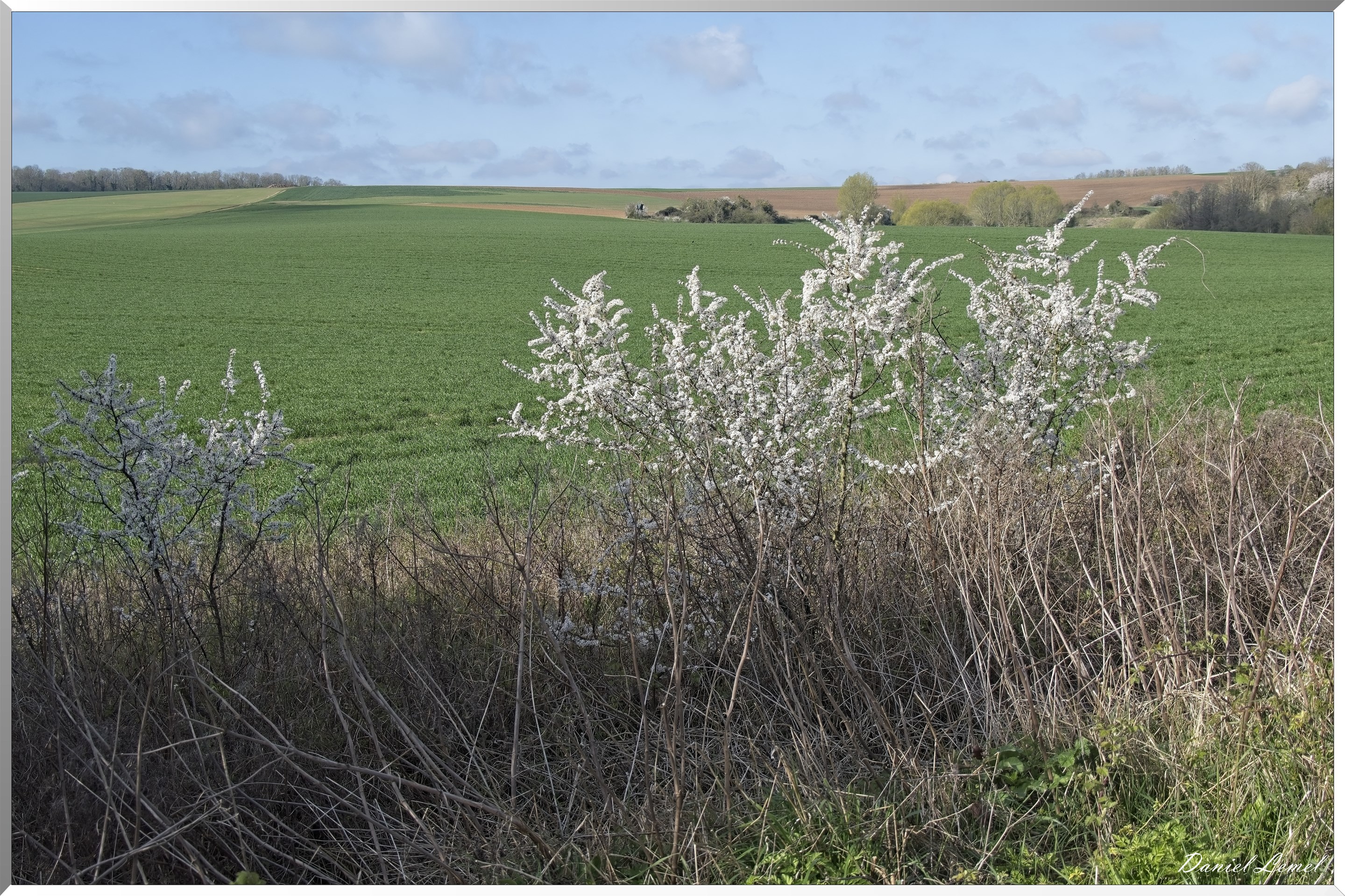 Noyers