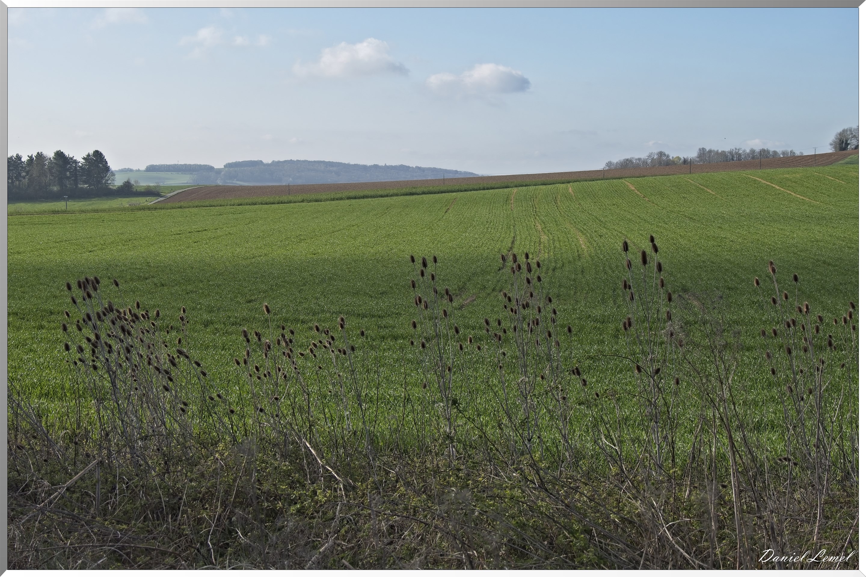 Noyers