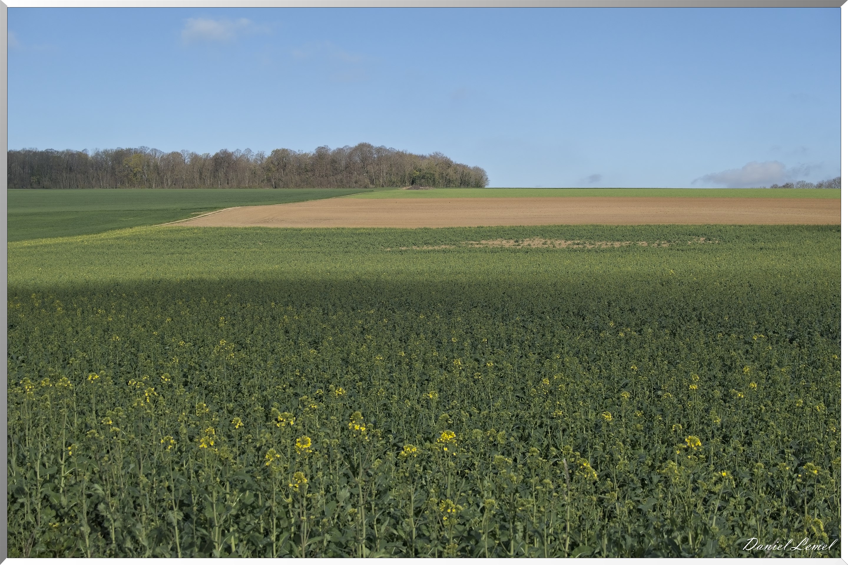 Noyers