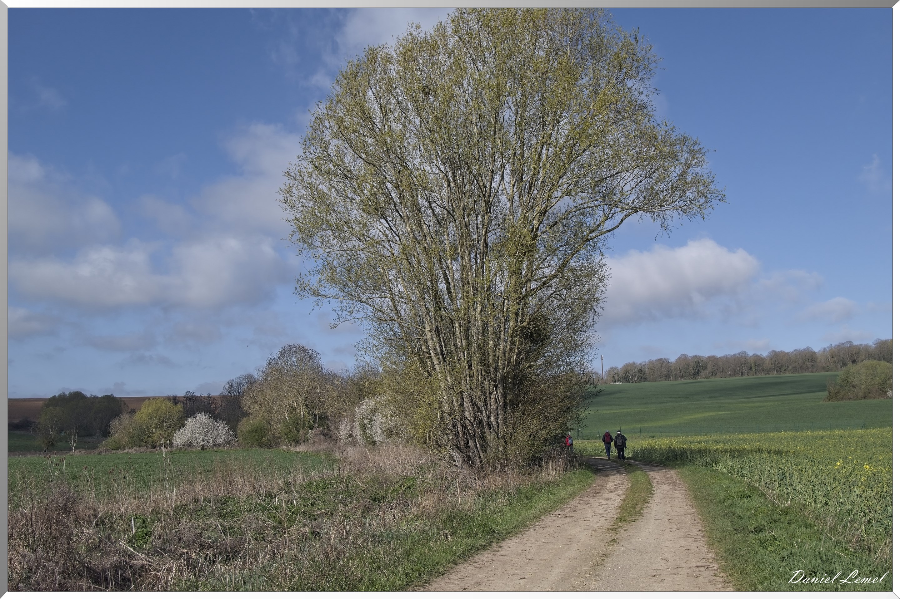 Noyers