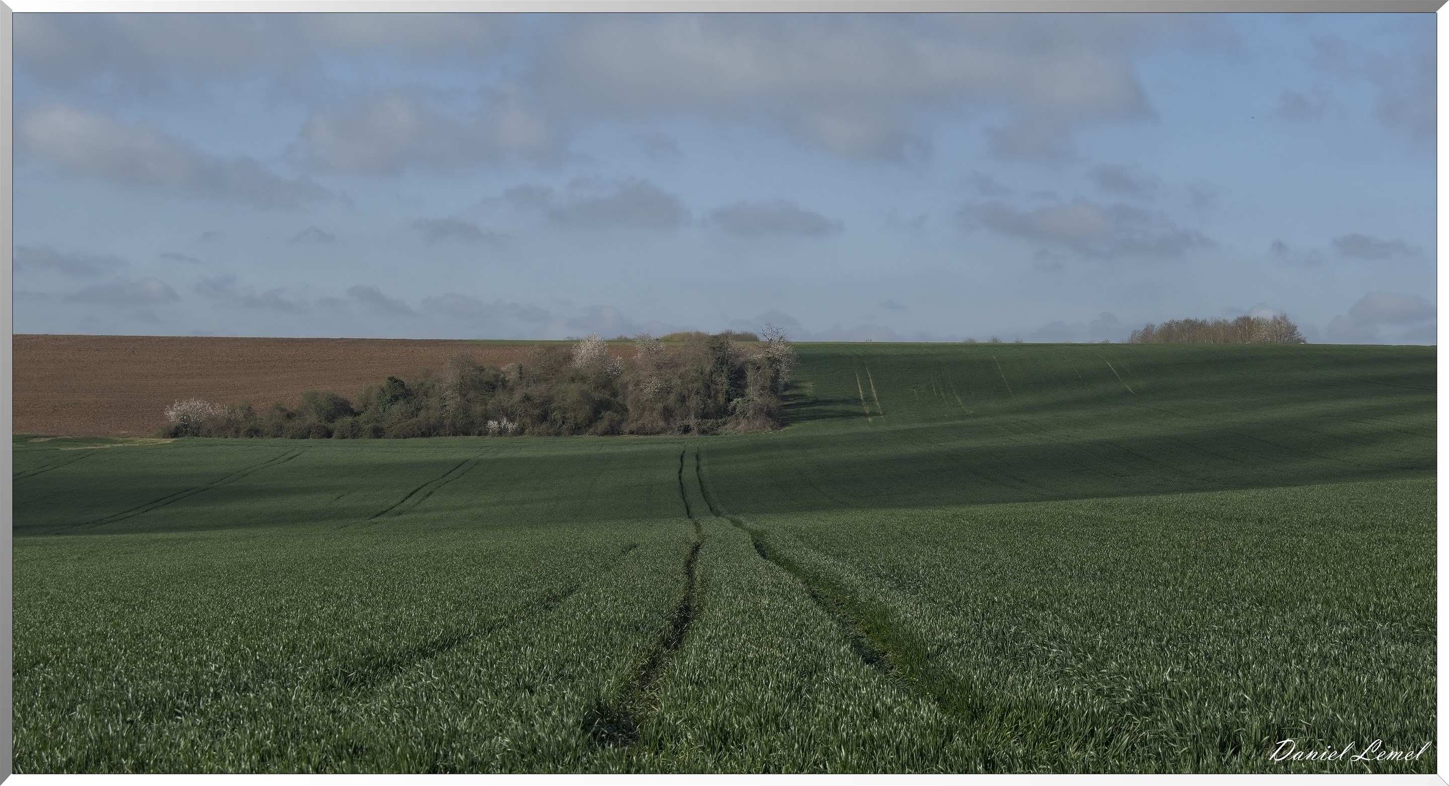 Noyers