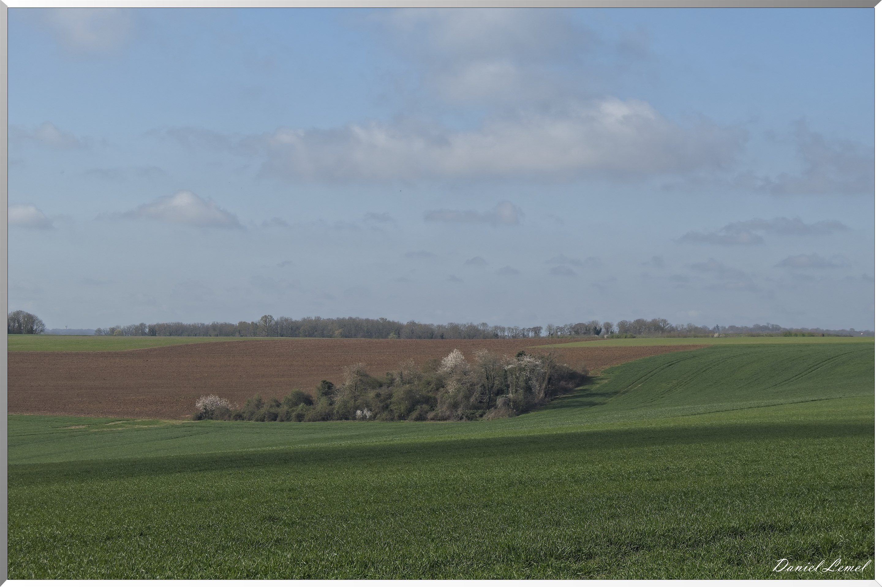 Noyers
