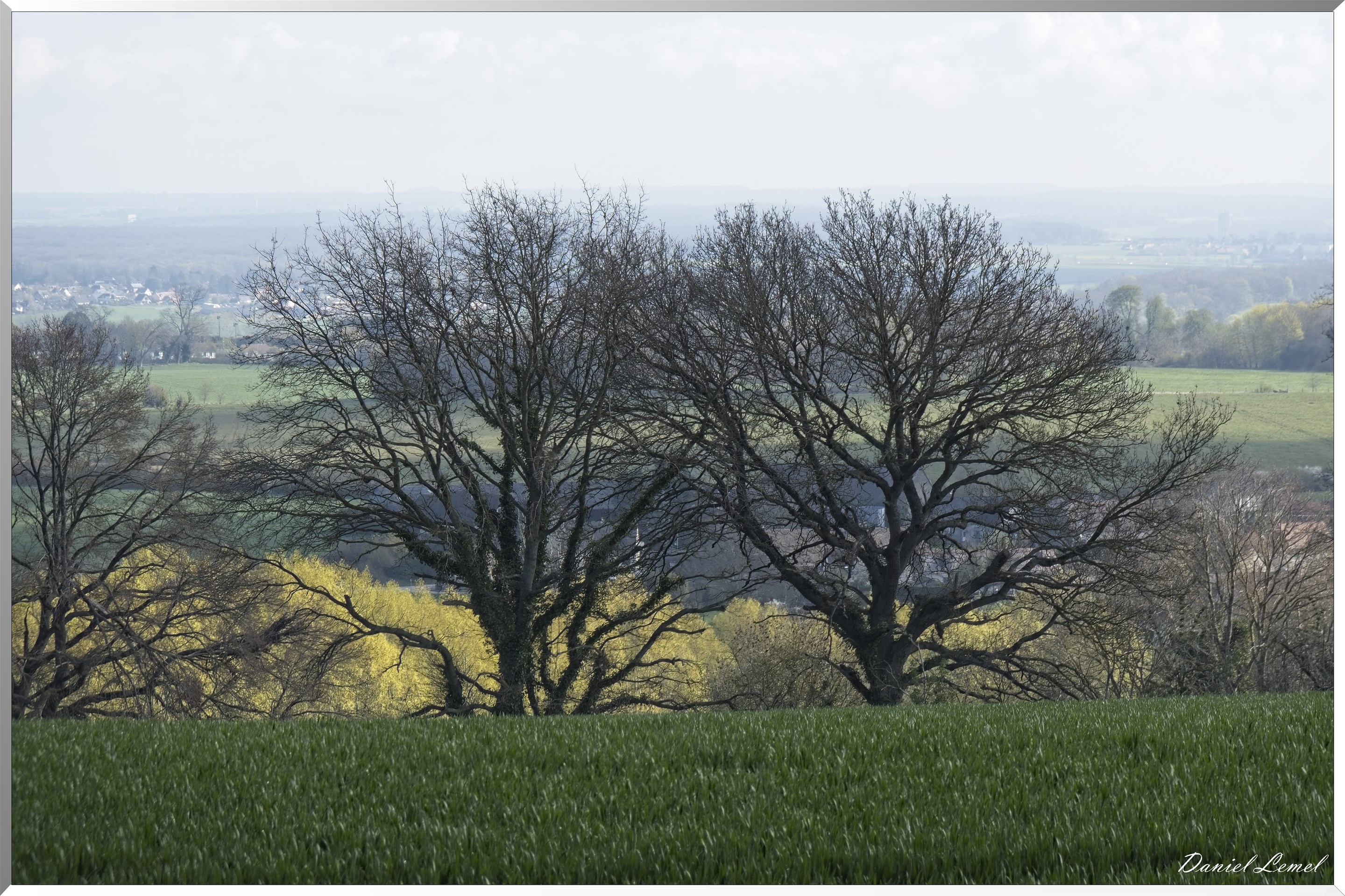 Noyers