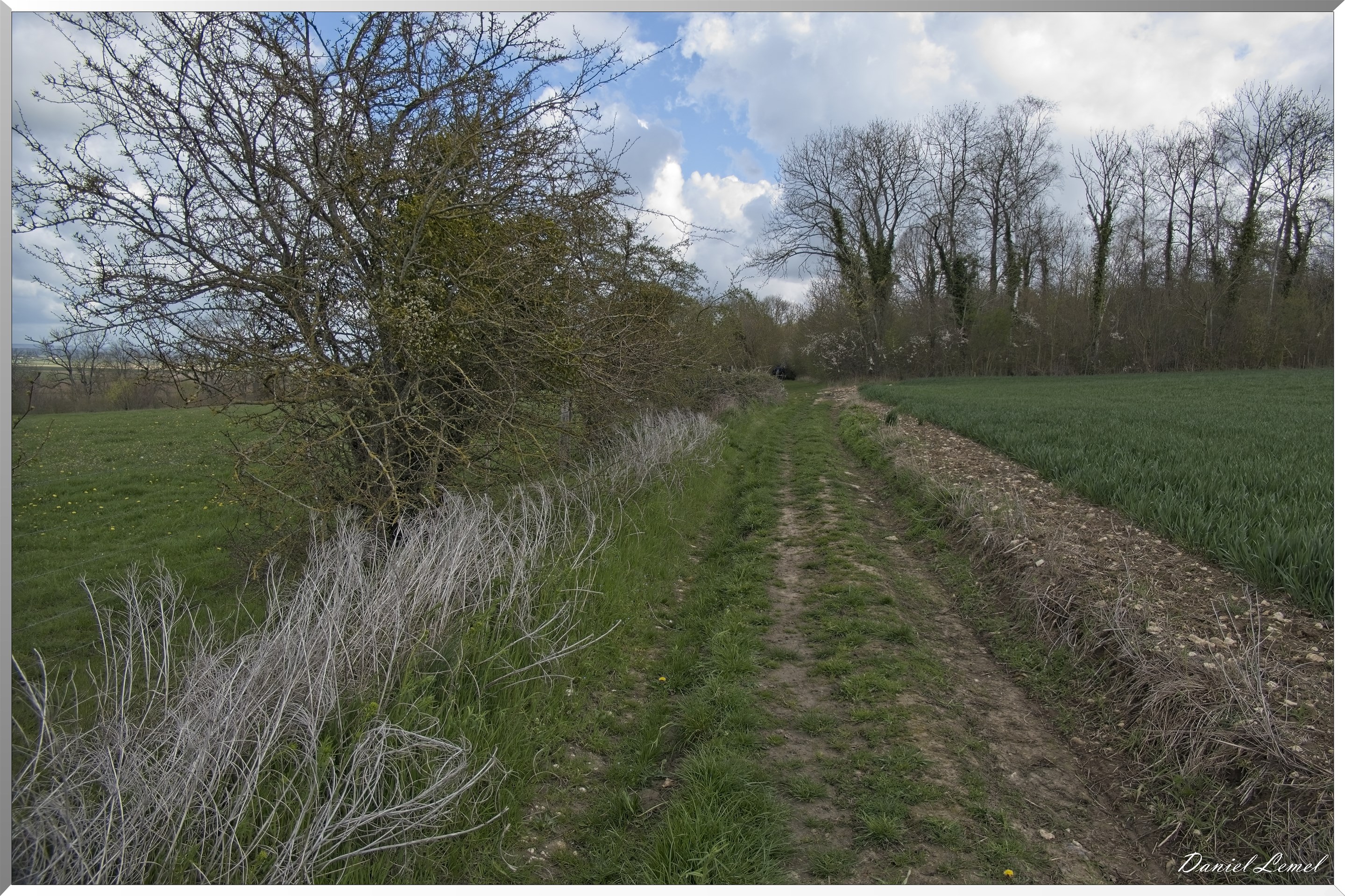 Noyers