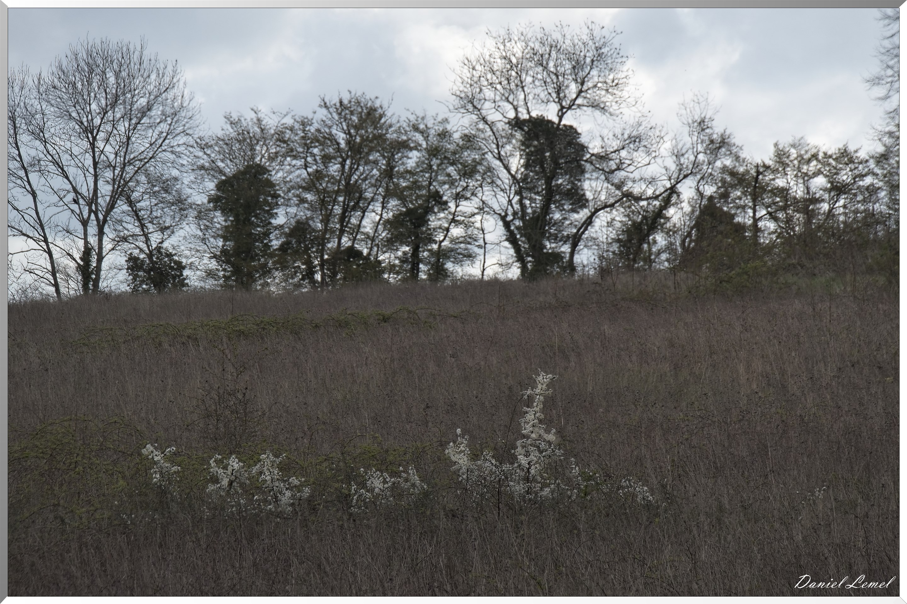Noyers
