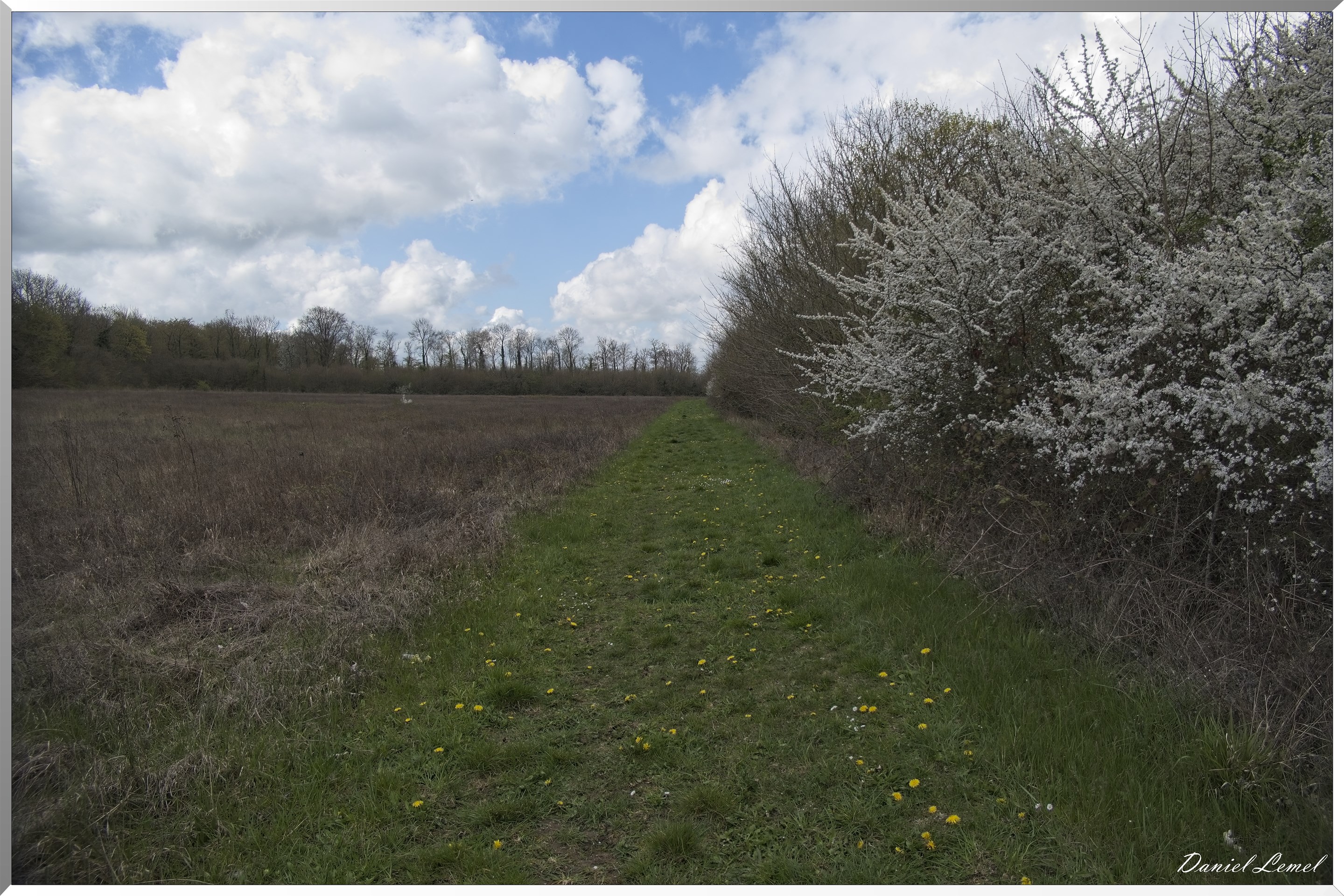 Noyers