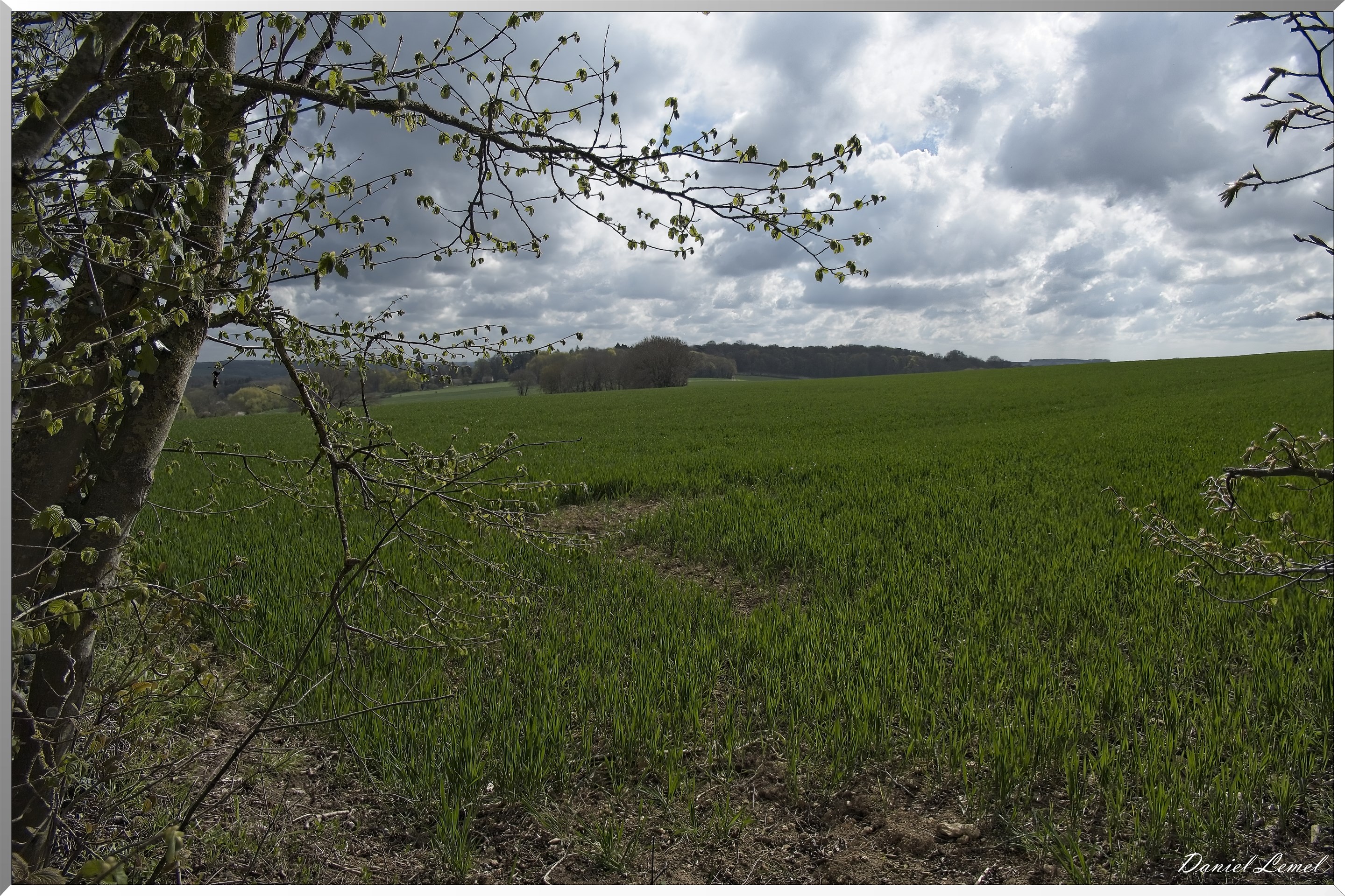 Noyers