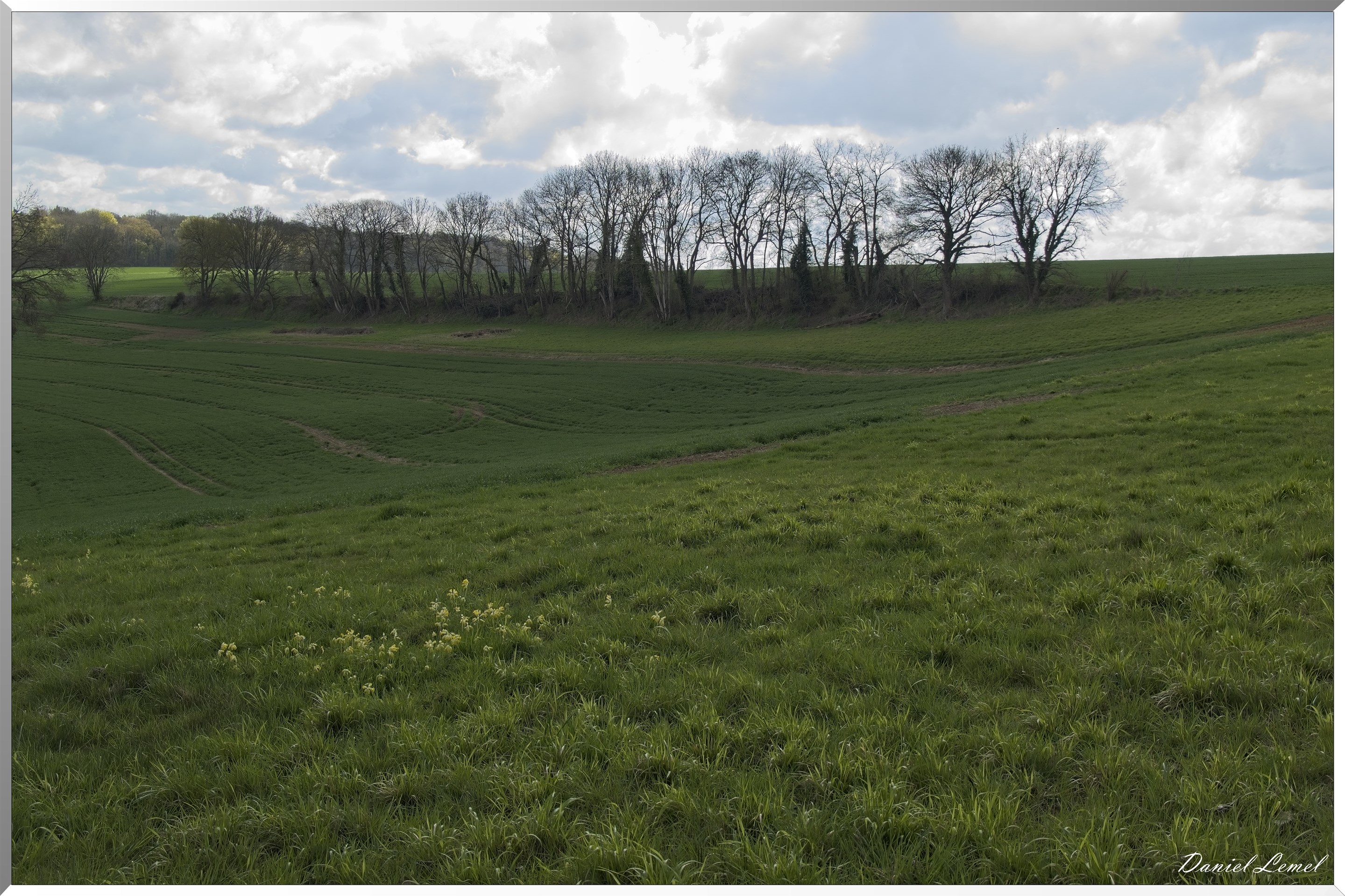 Noyers