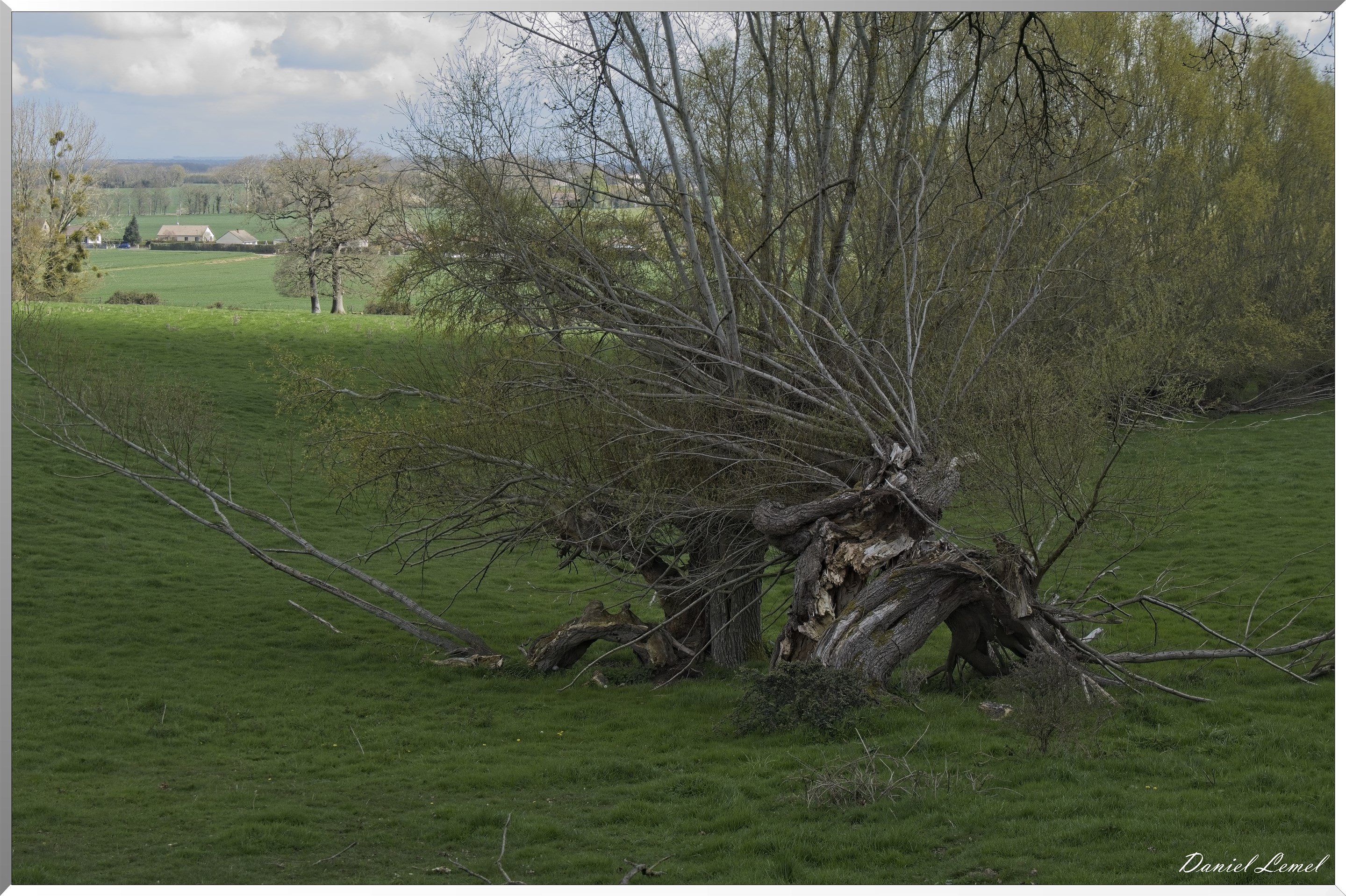 Noyers