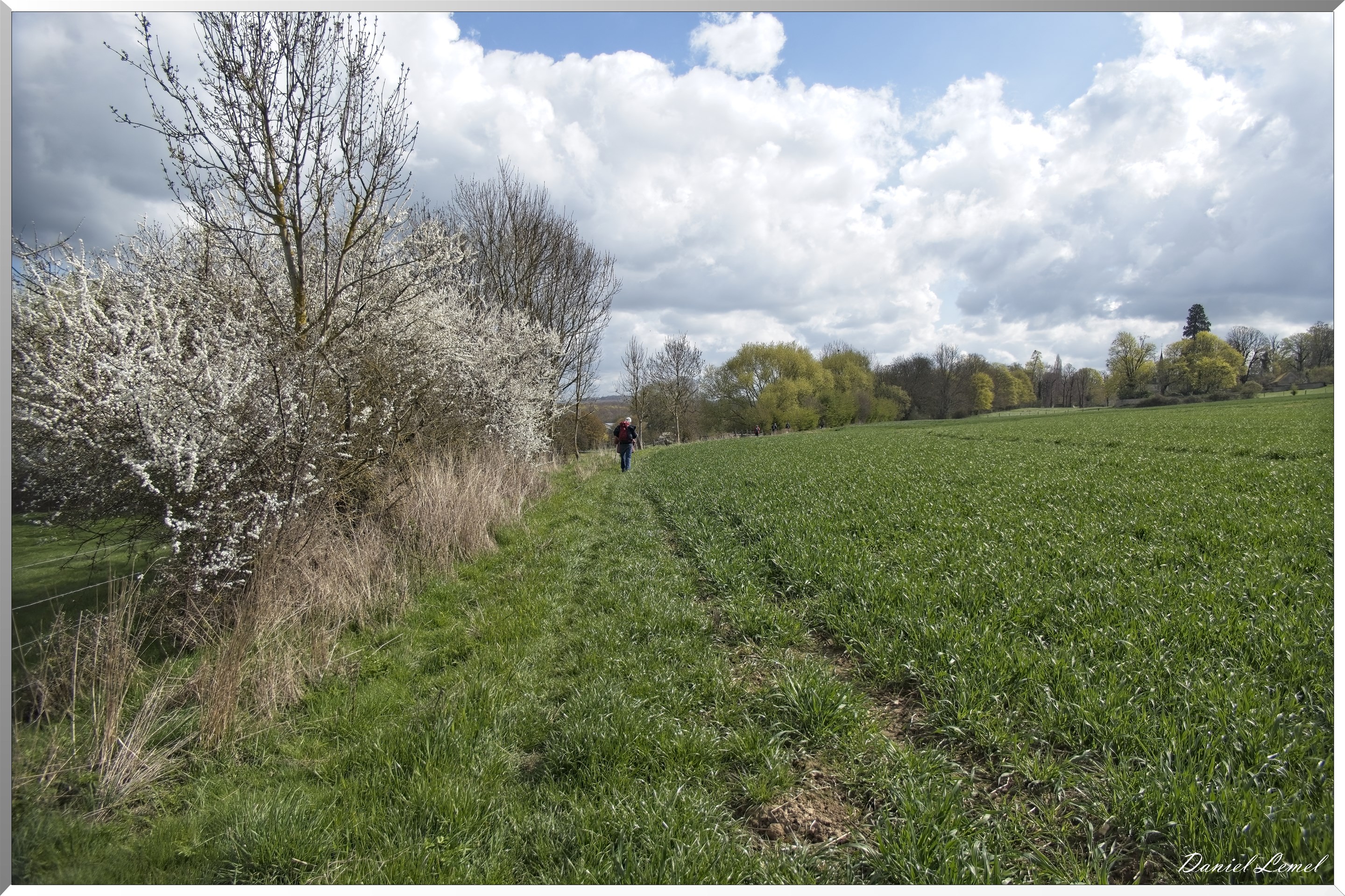 Noyers