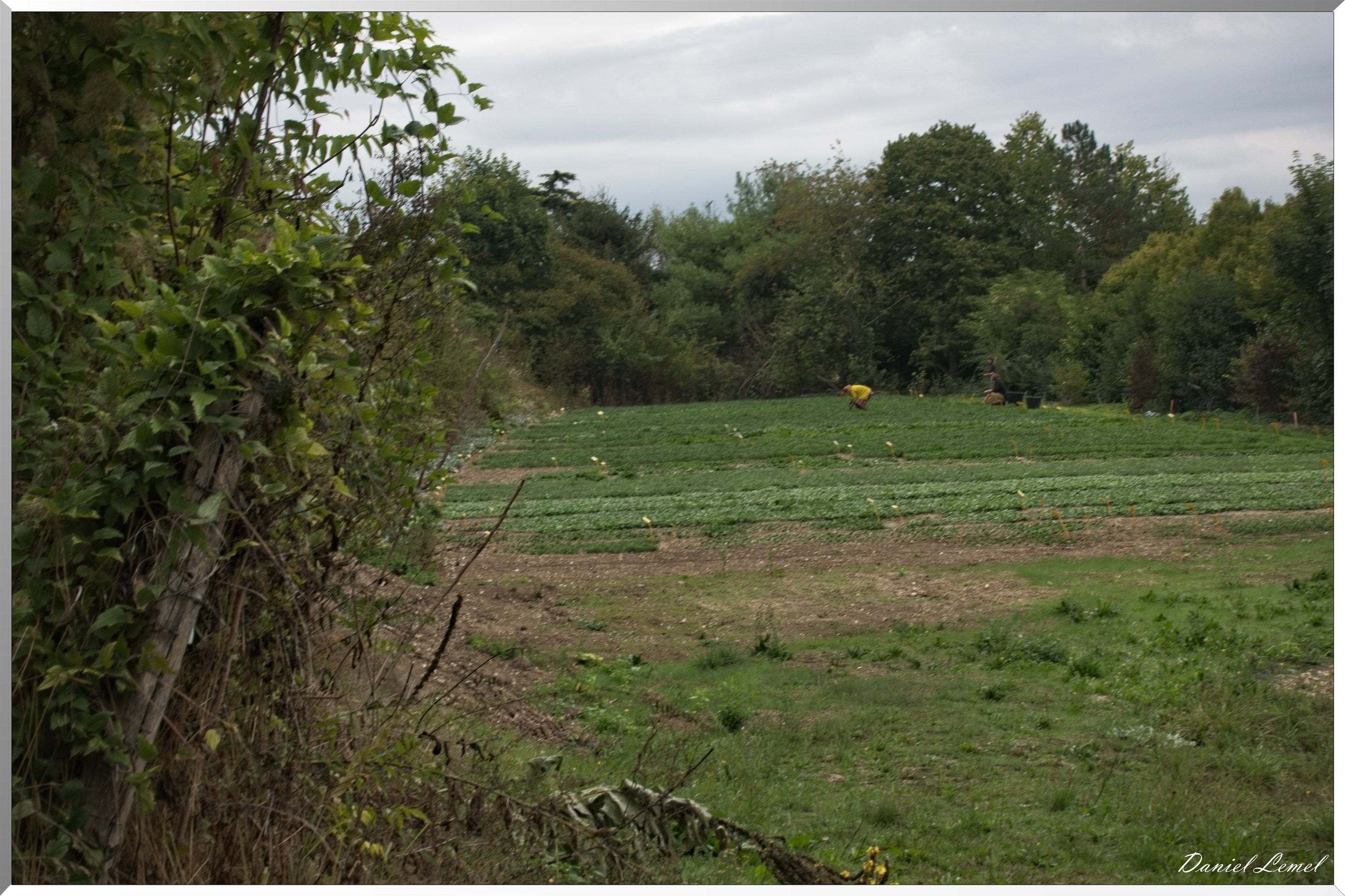 Giverny