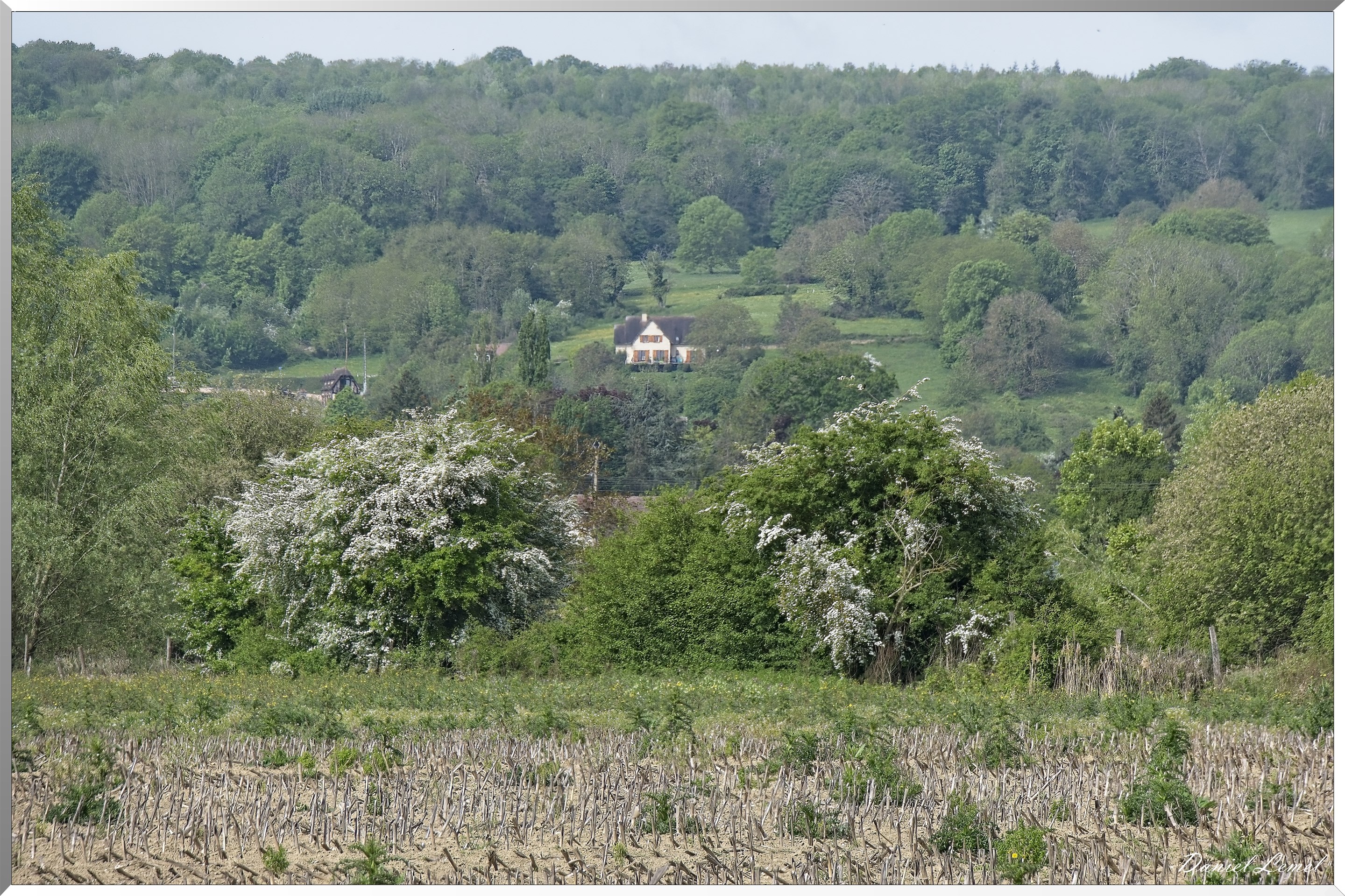Saint-Just