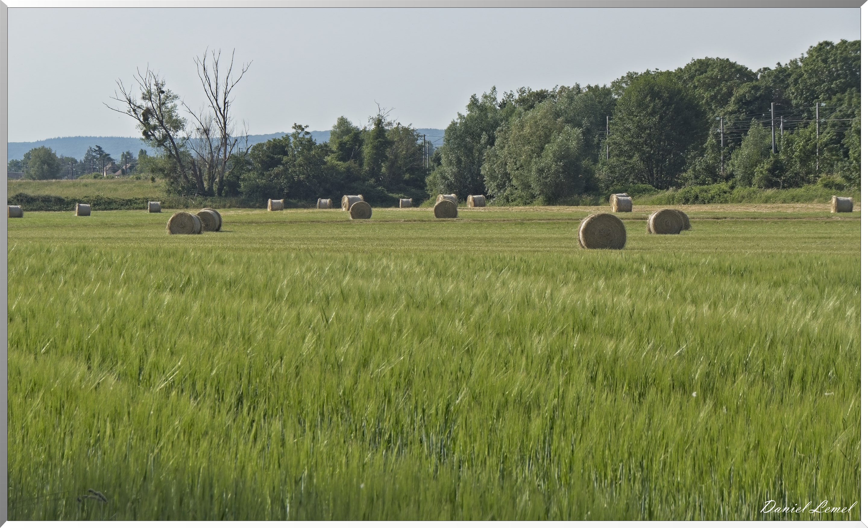 Le Goulet