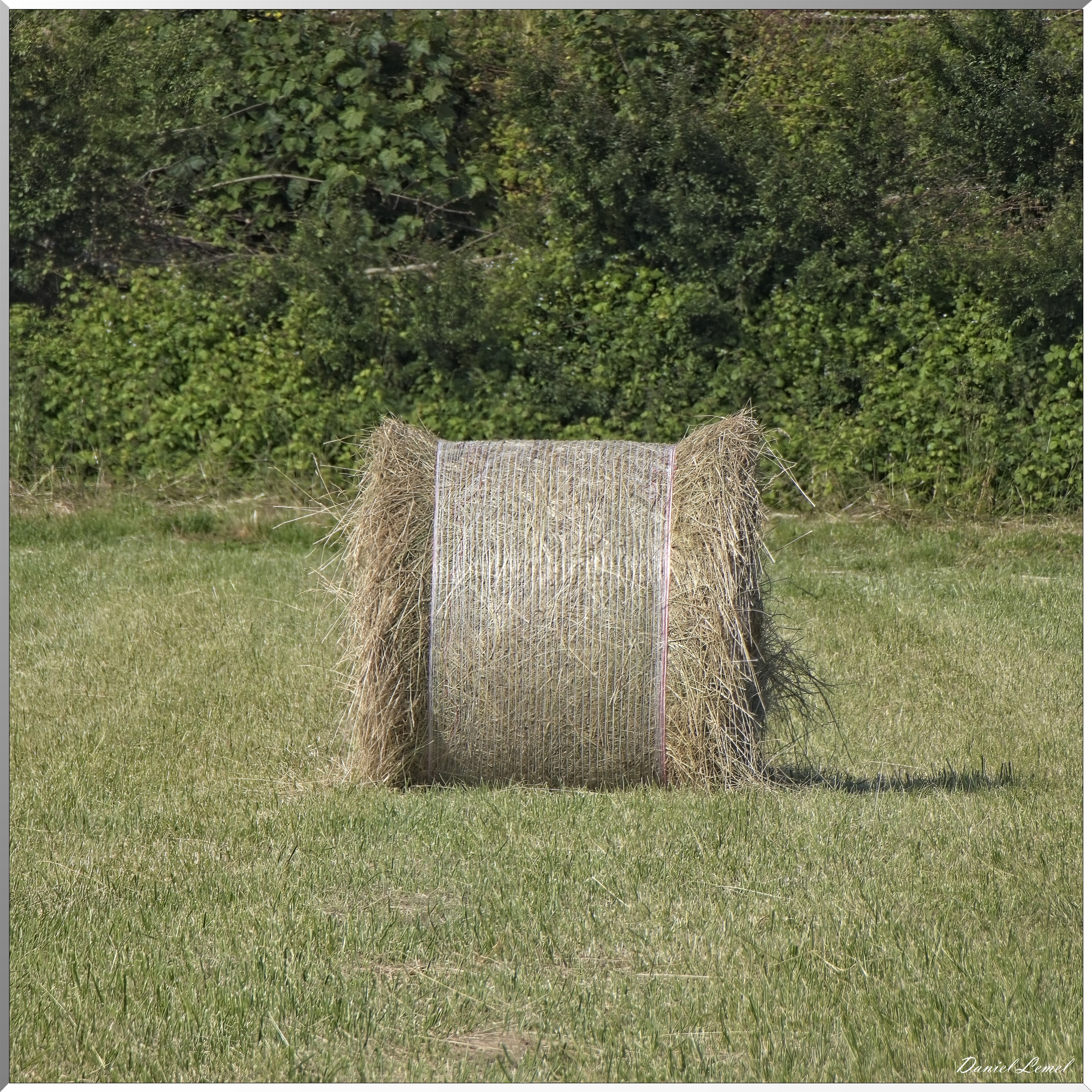 Le Goulet
