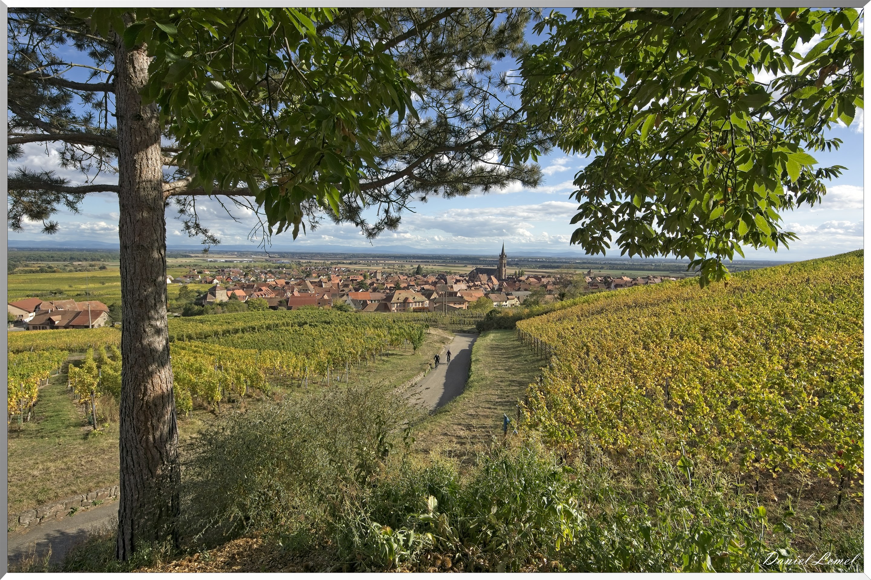 Dambach-la-ville
