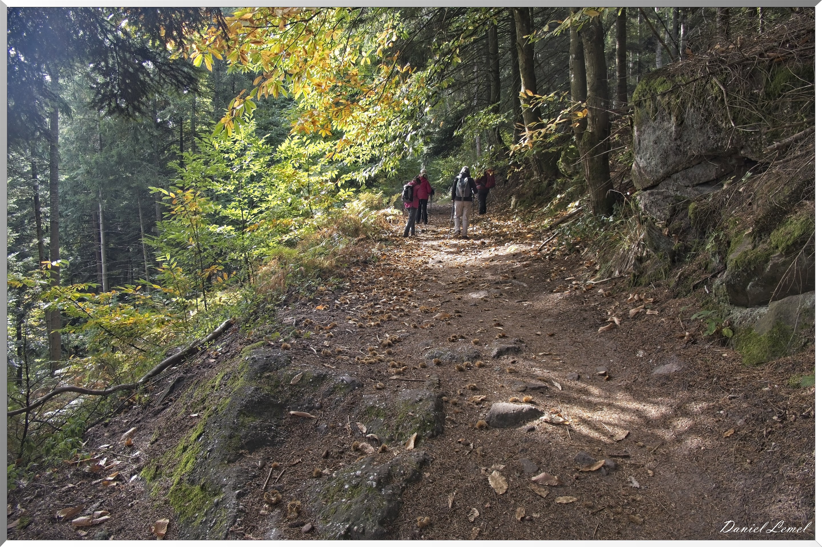 Mont Sainte-Odile