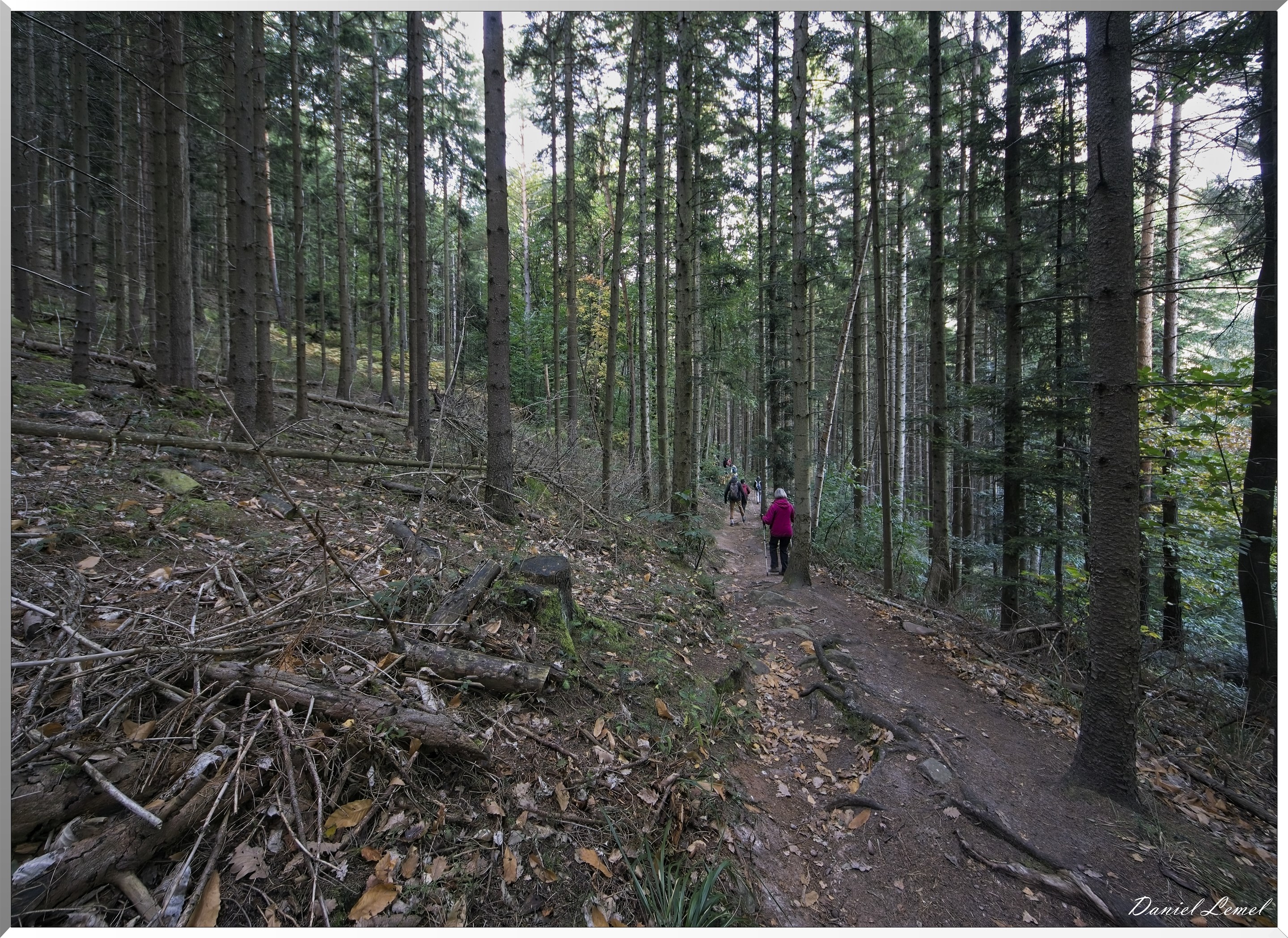 Mont Sainte-Odile