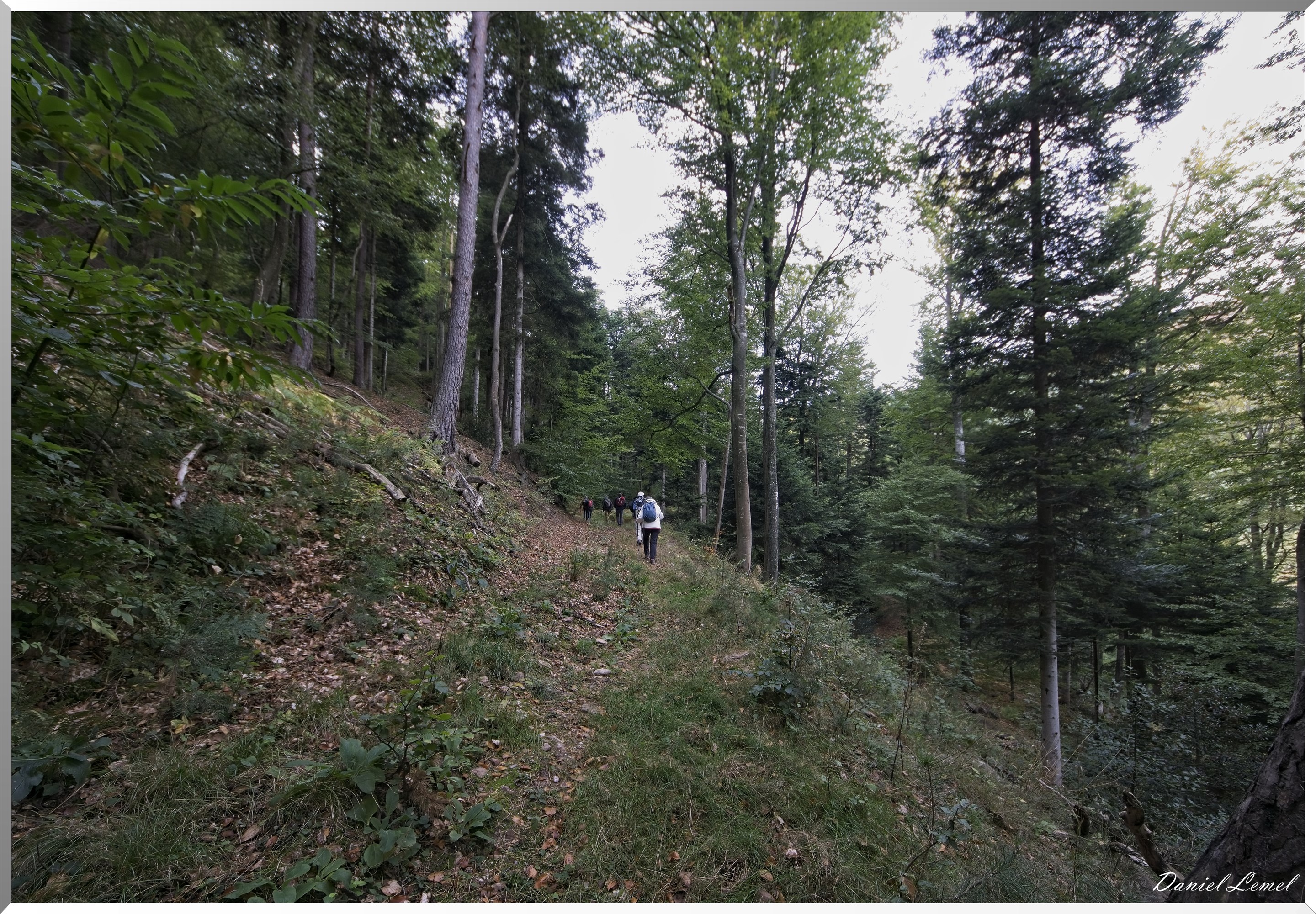 Mont Sainte-Odile