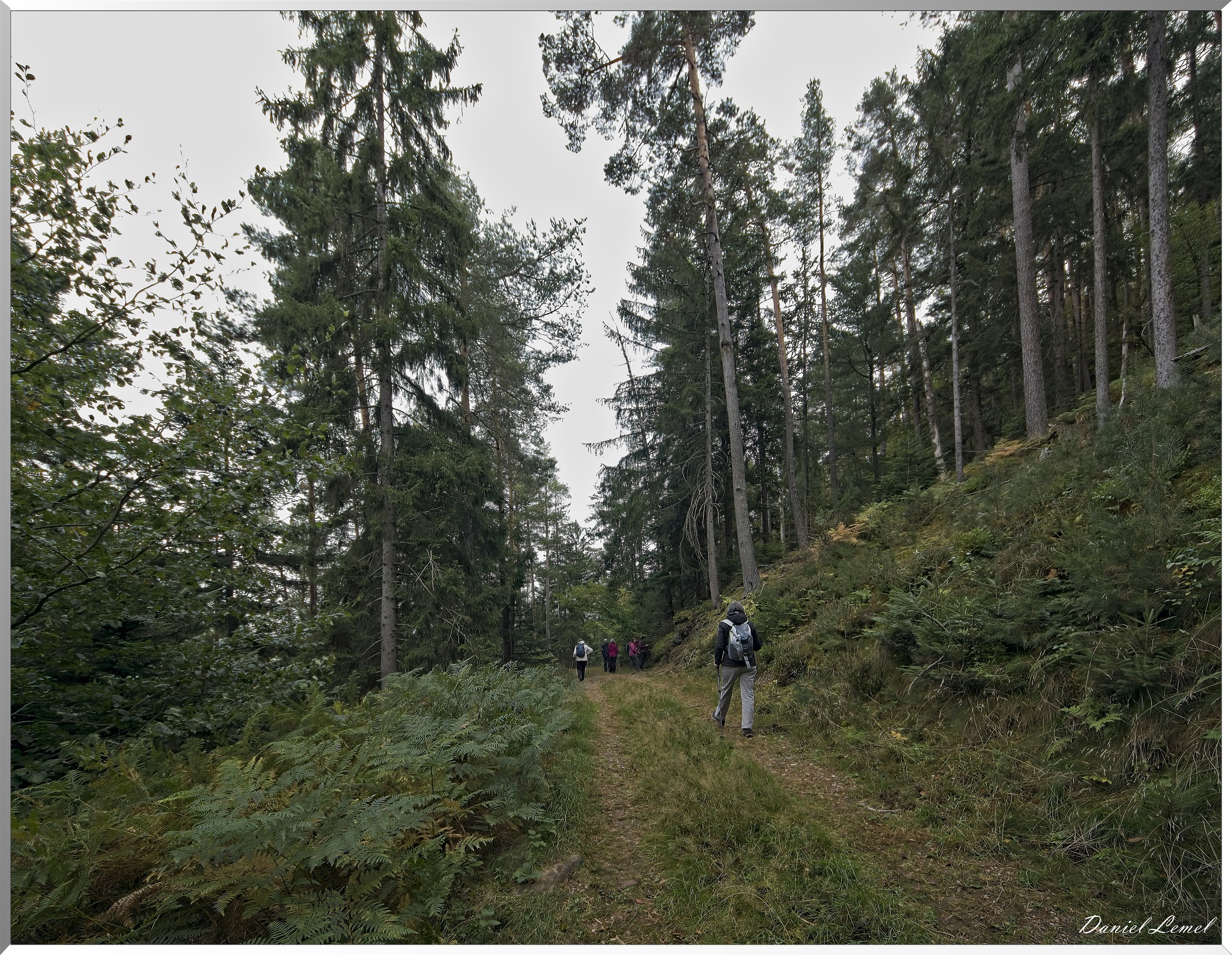 Mont Sainte-Odile