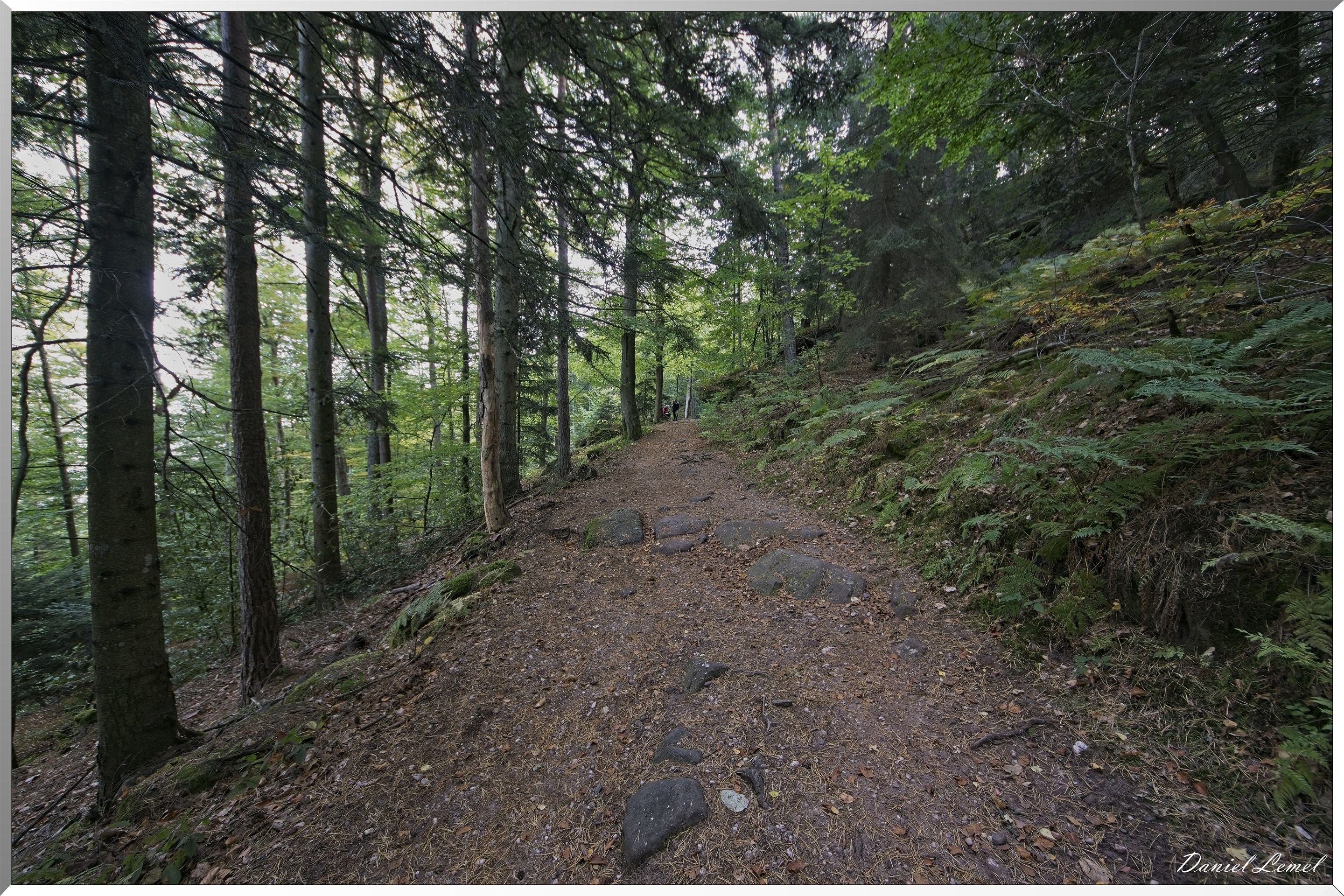 Mont Sainte-Odile