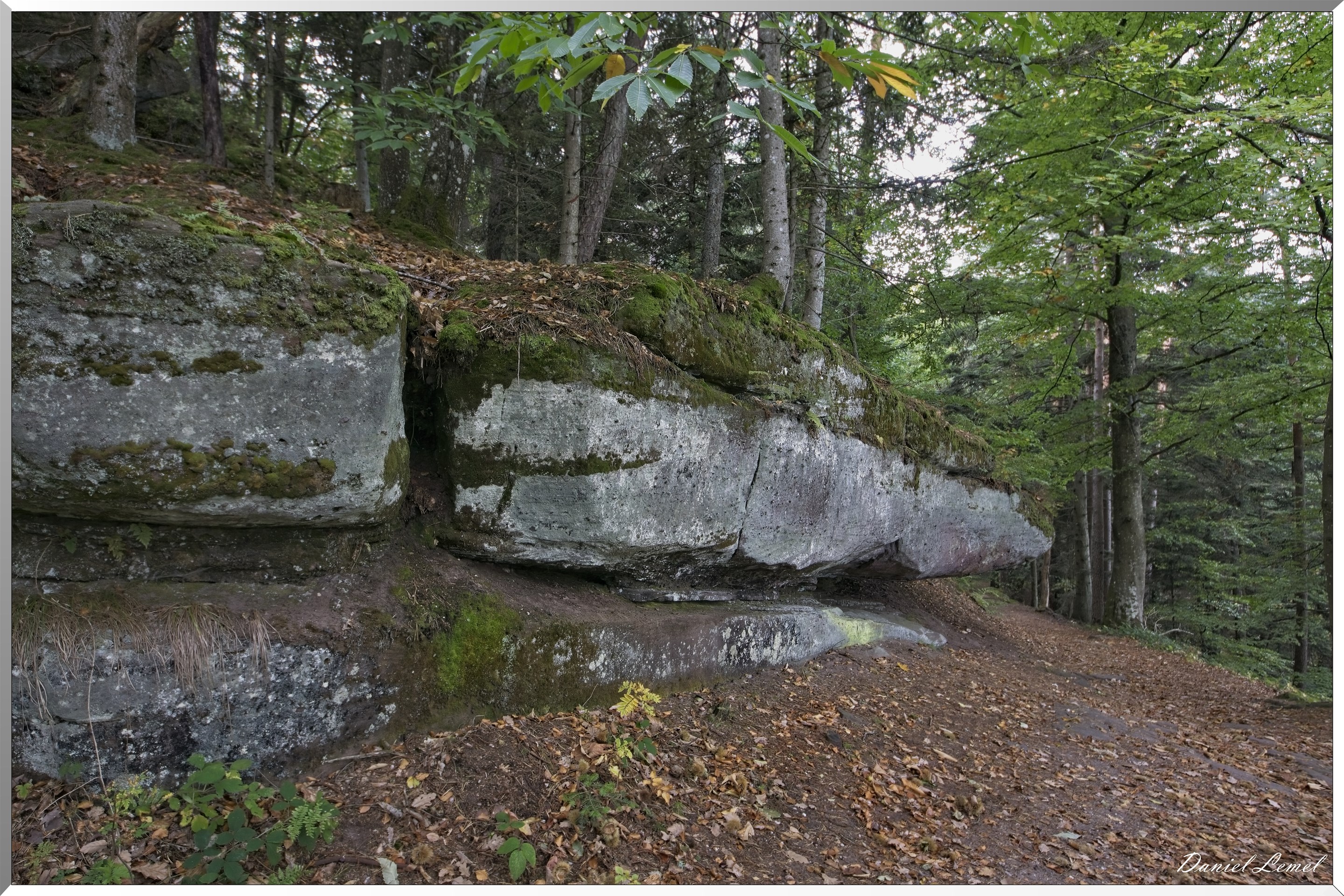Mont Sainte-Odile