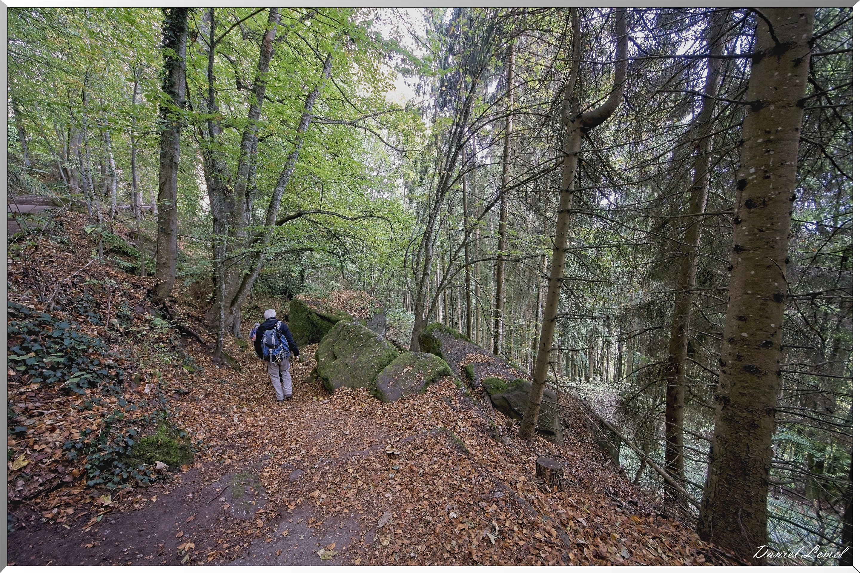 Mont Sainte-Odile