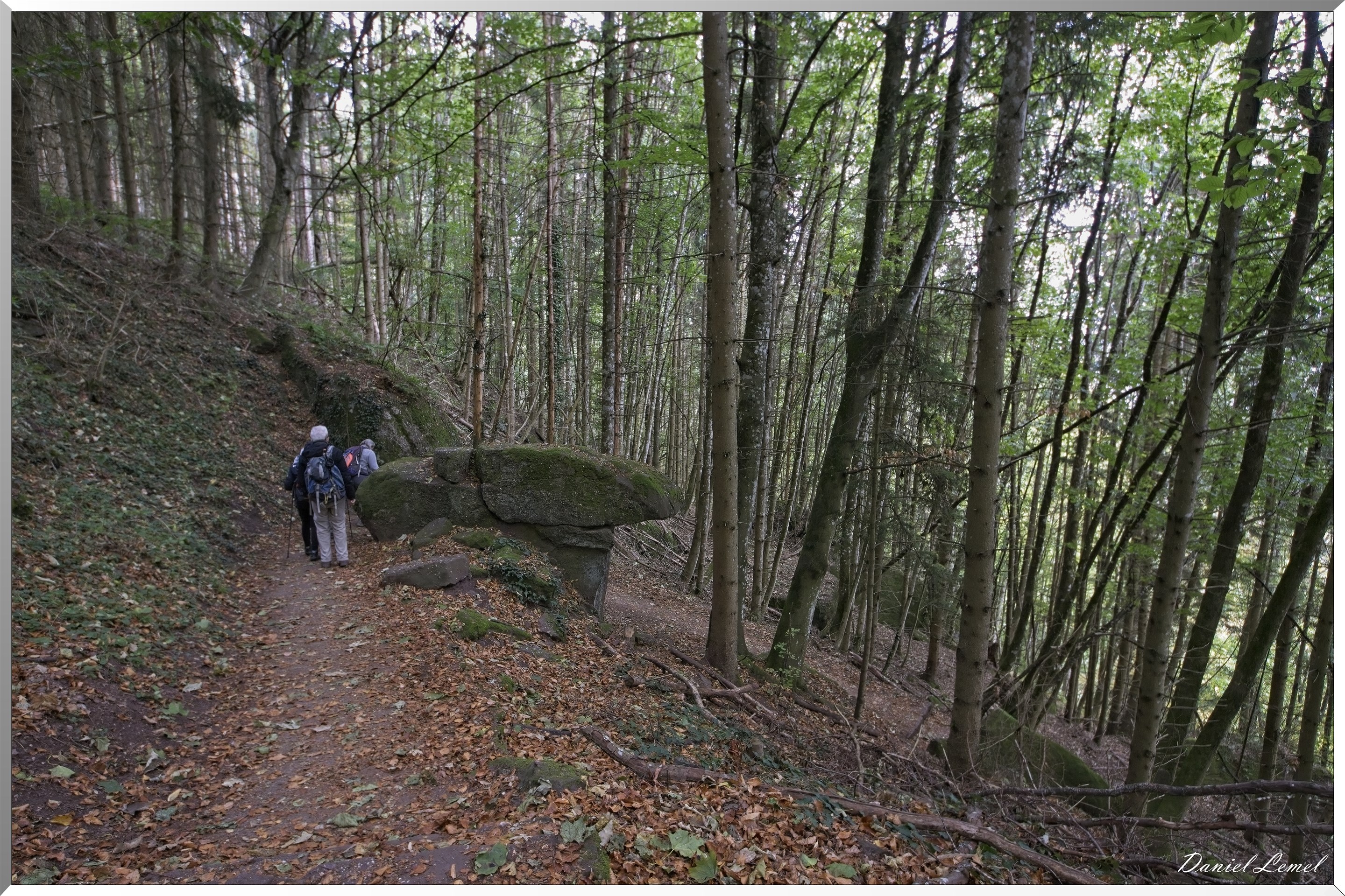 Mont Sainte-Odile