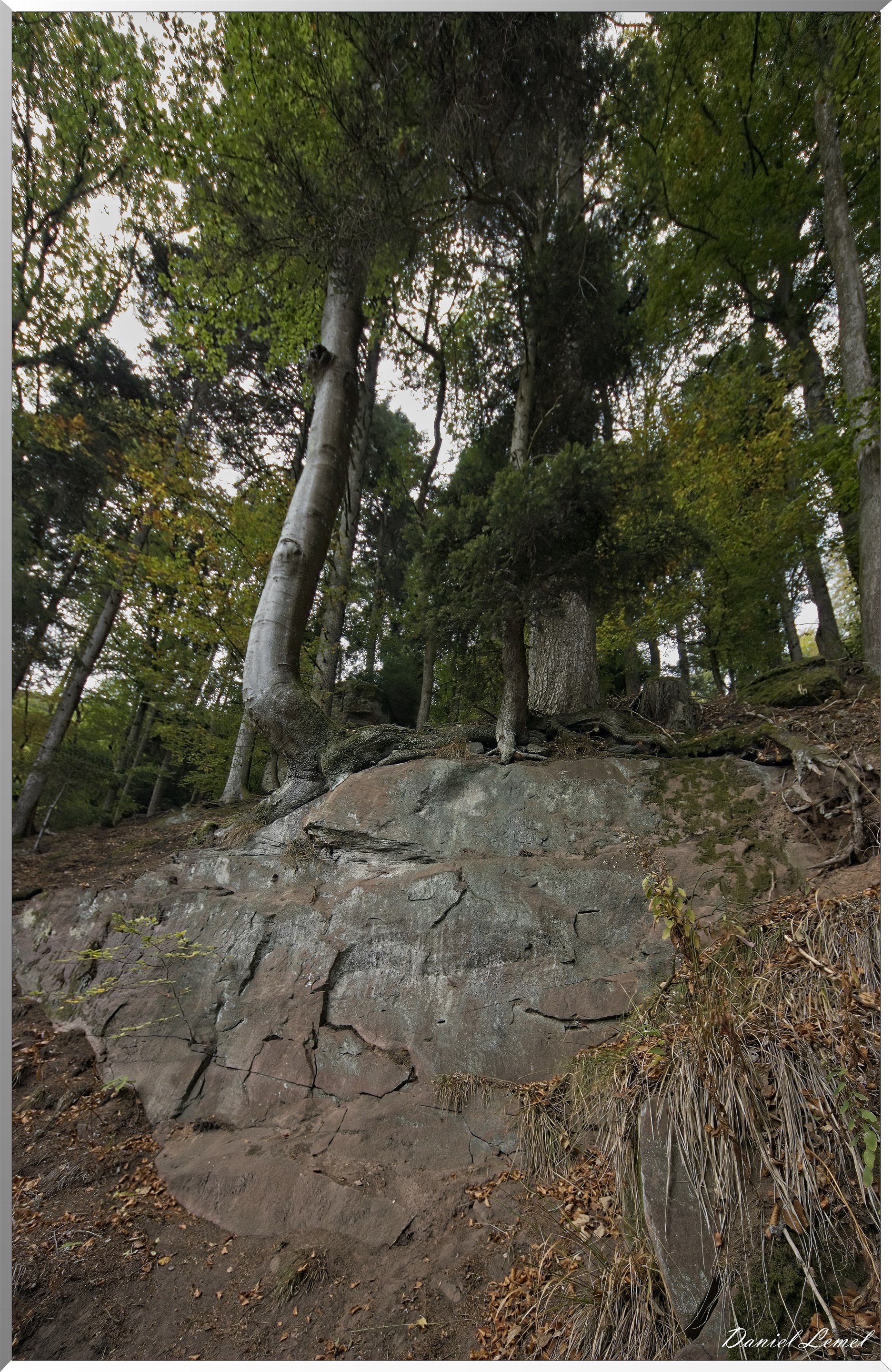 Mont Sainte-Odile