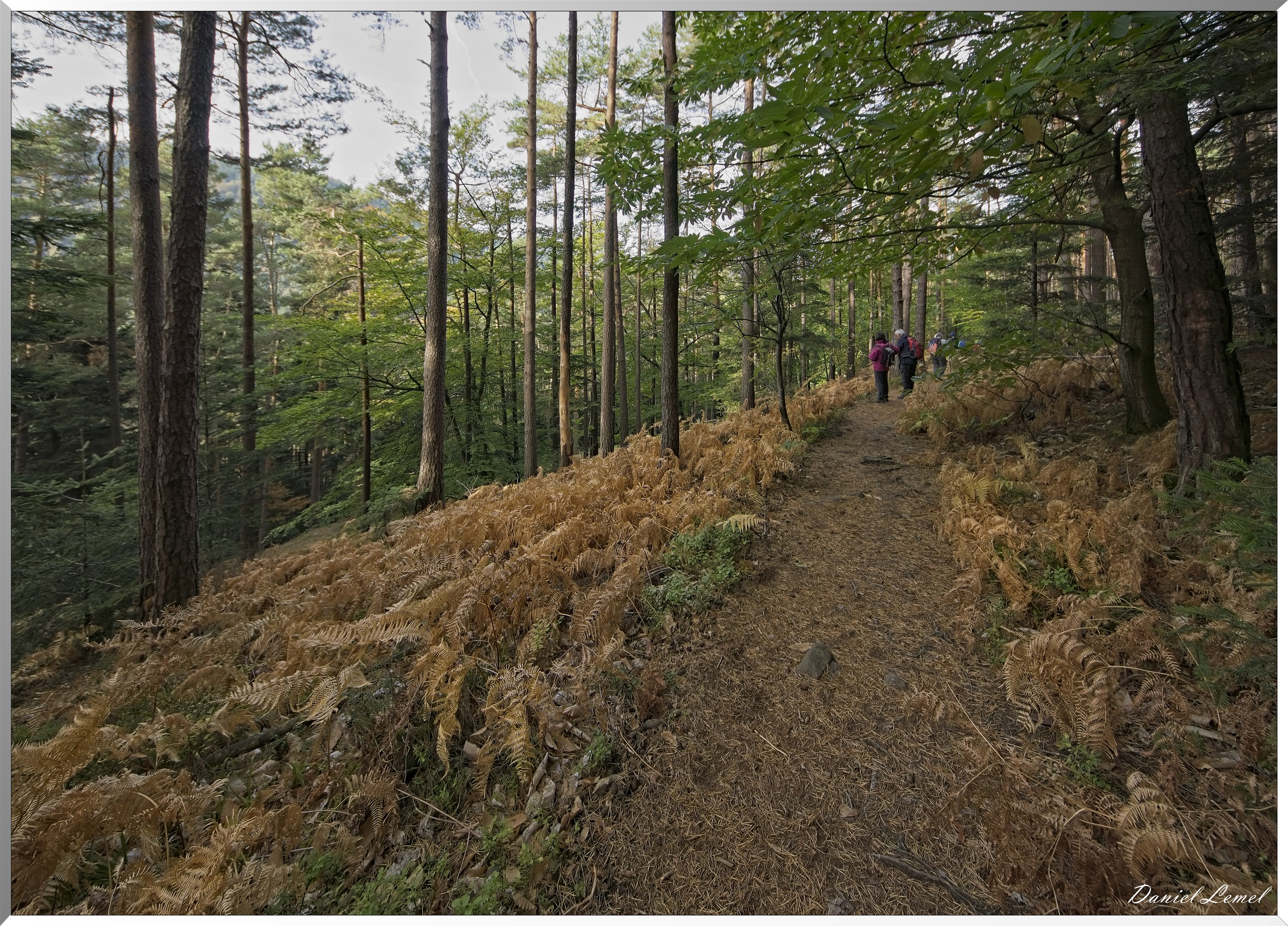 Mont Sainte-Odile