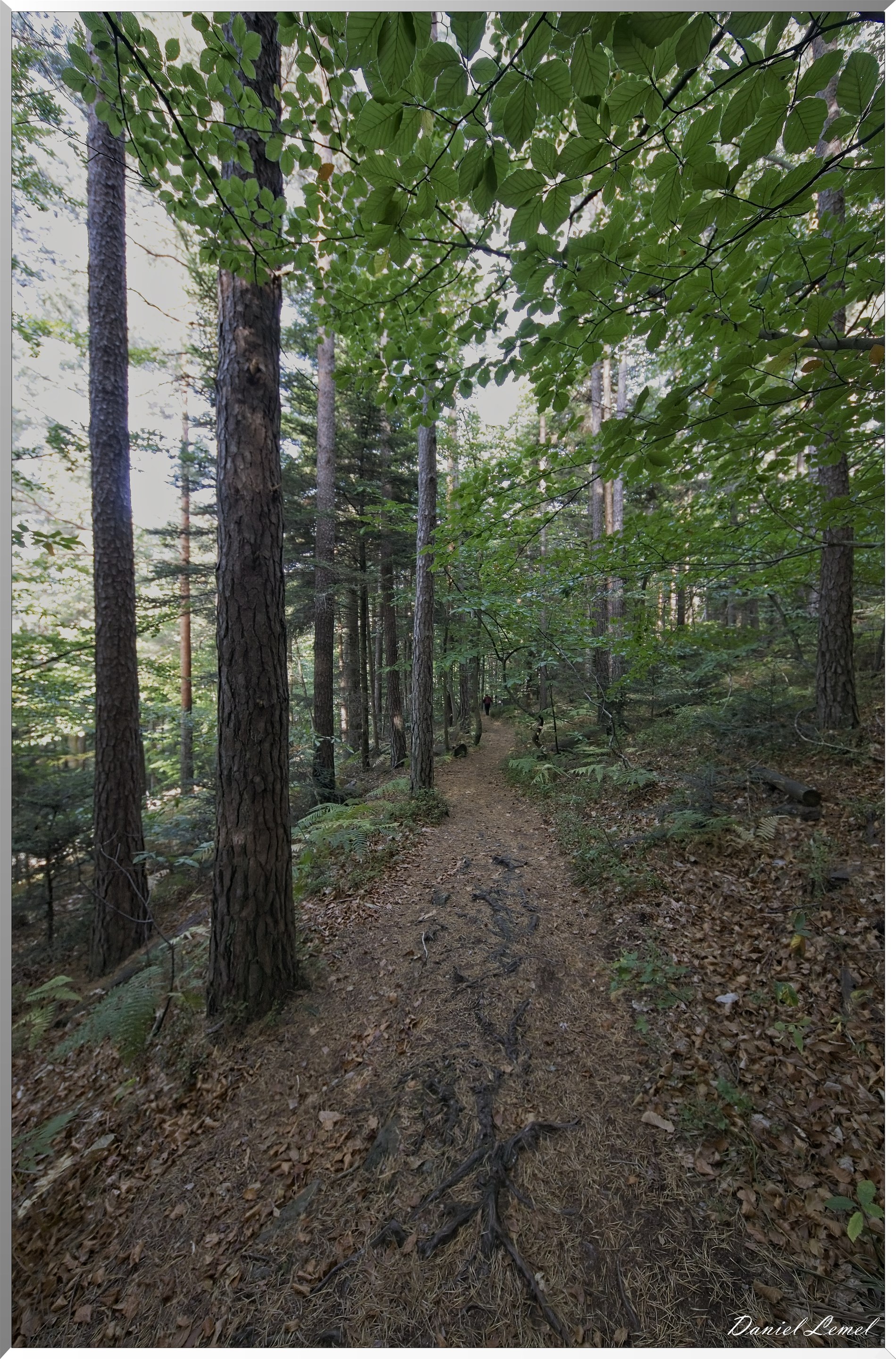 Mont Sainte-Odile