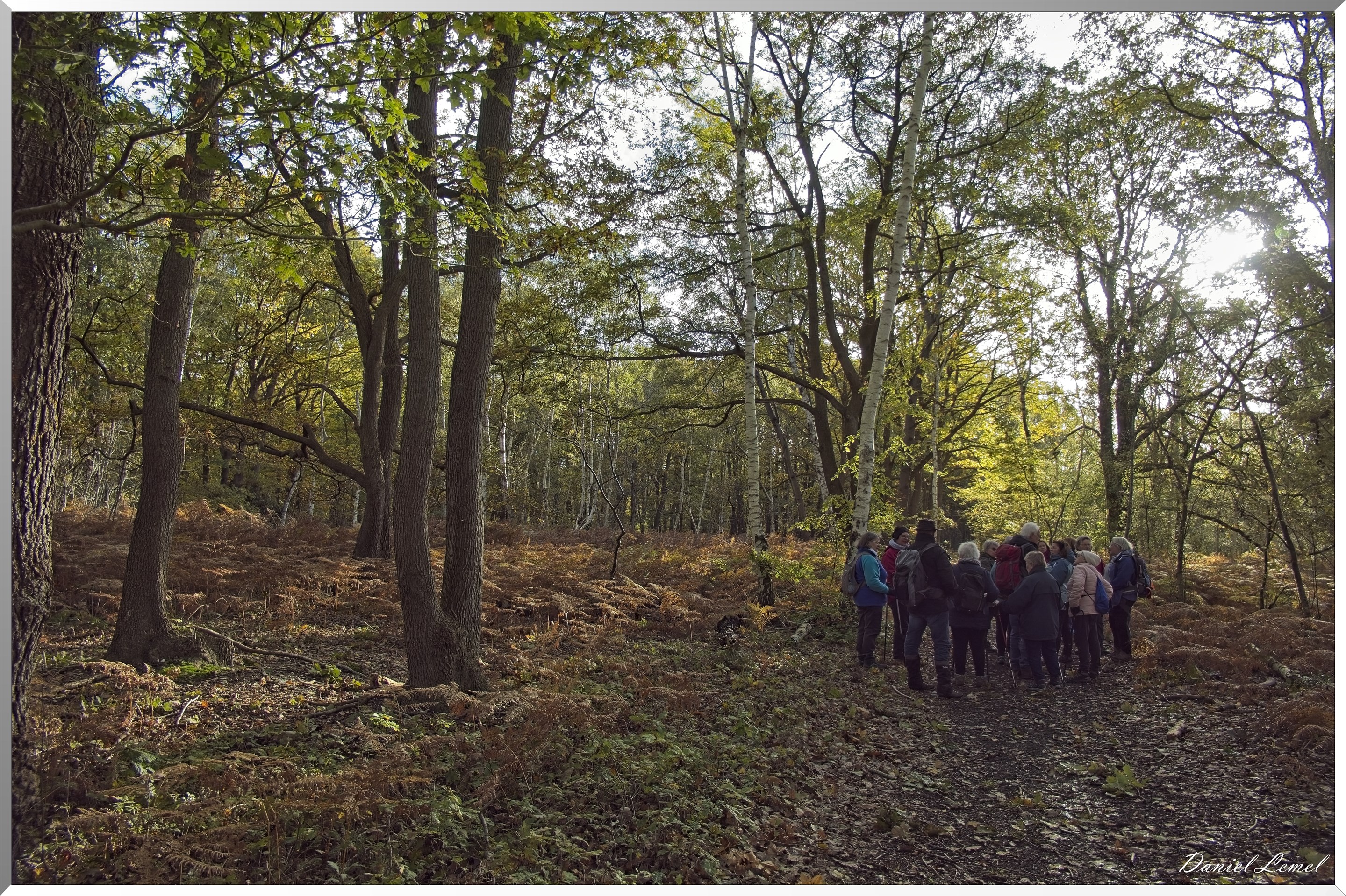 Forêt de Vernon