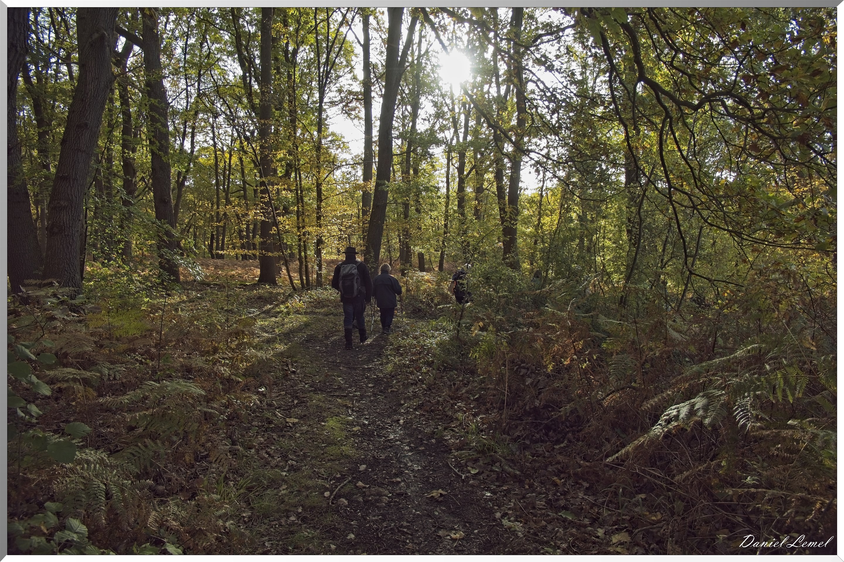 Forêt de Vernon
