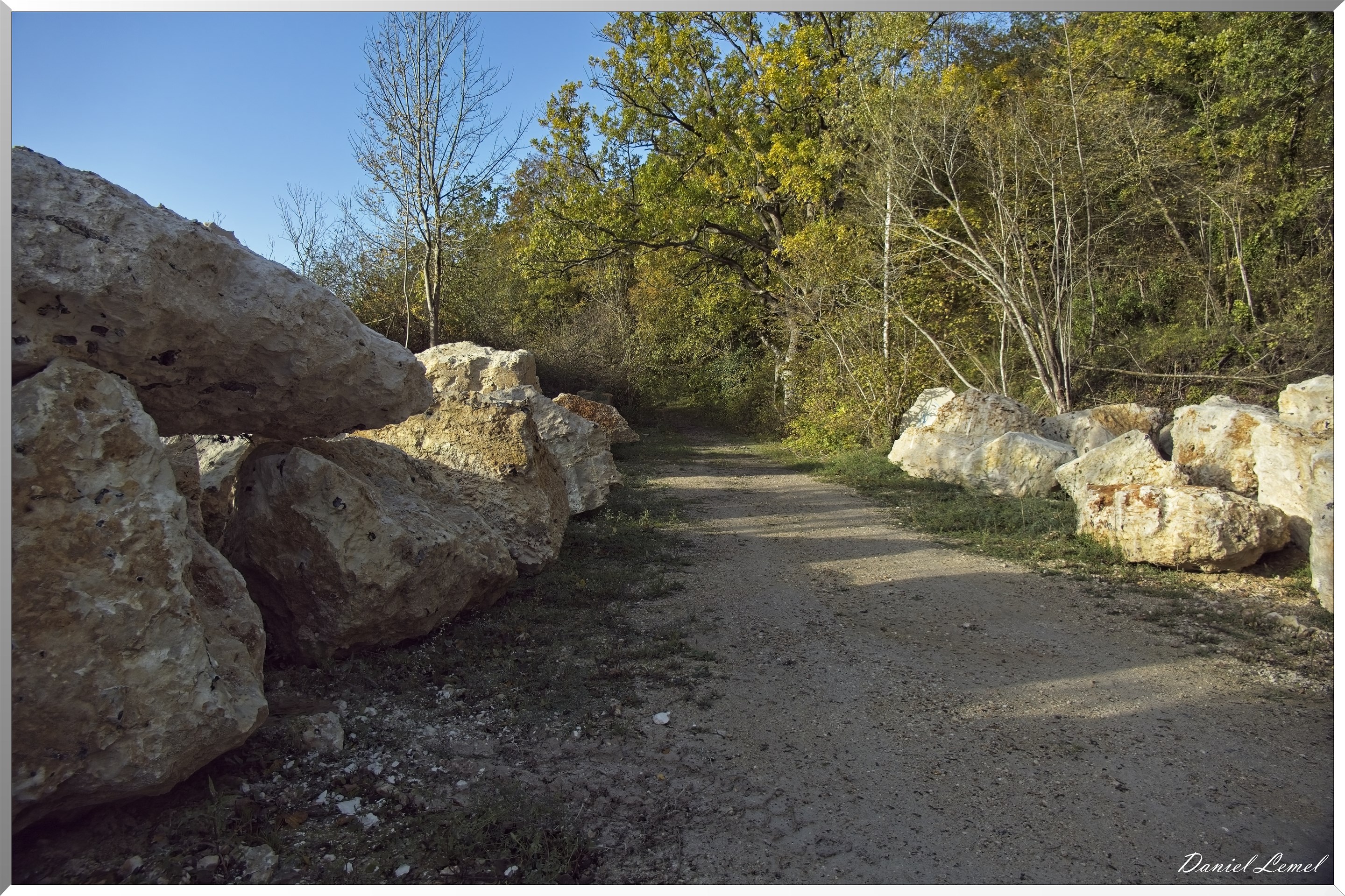 Forêt de Vernon