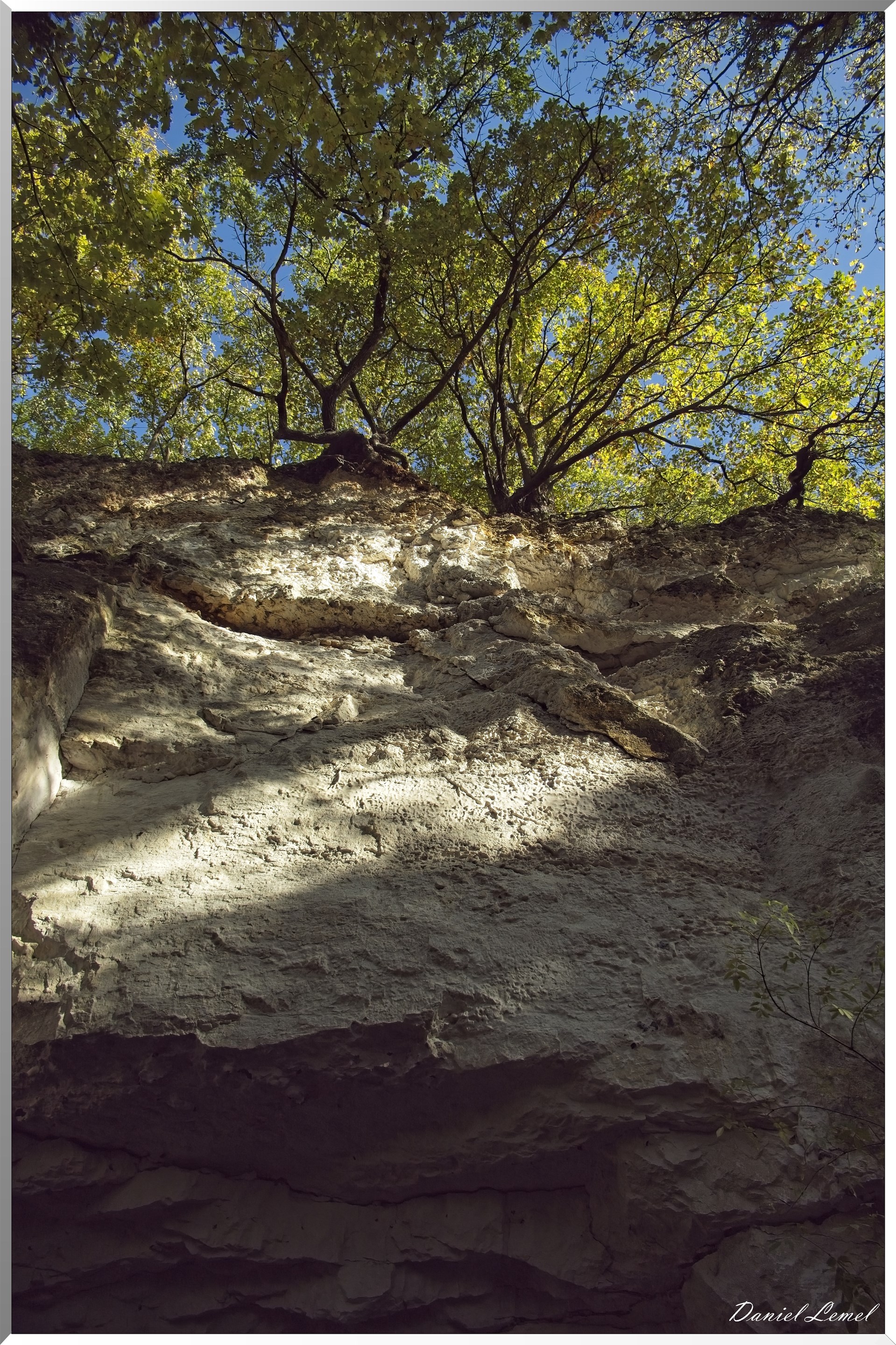 Forêt de Vernon
