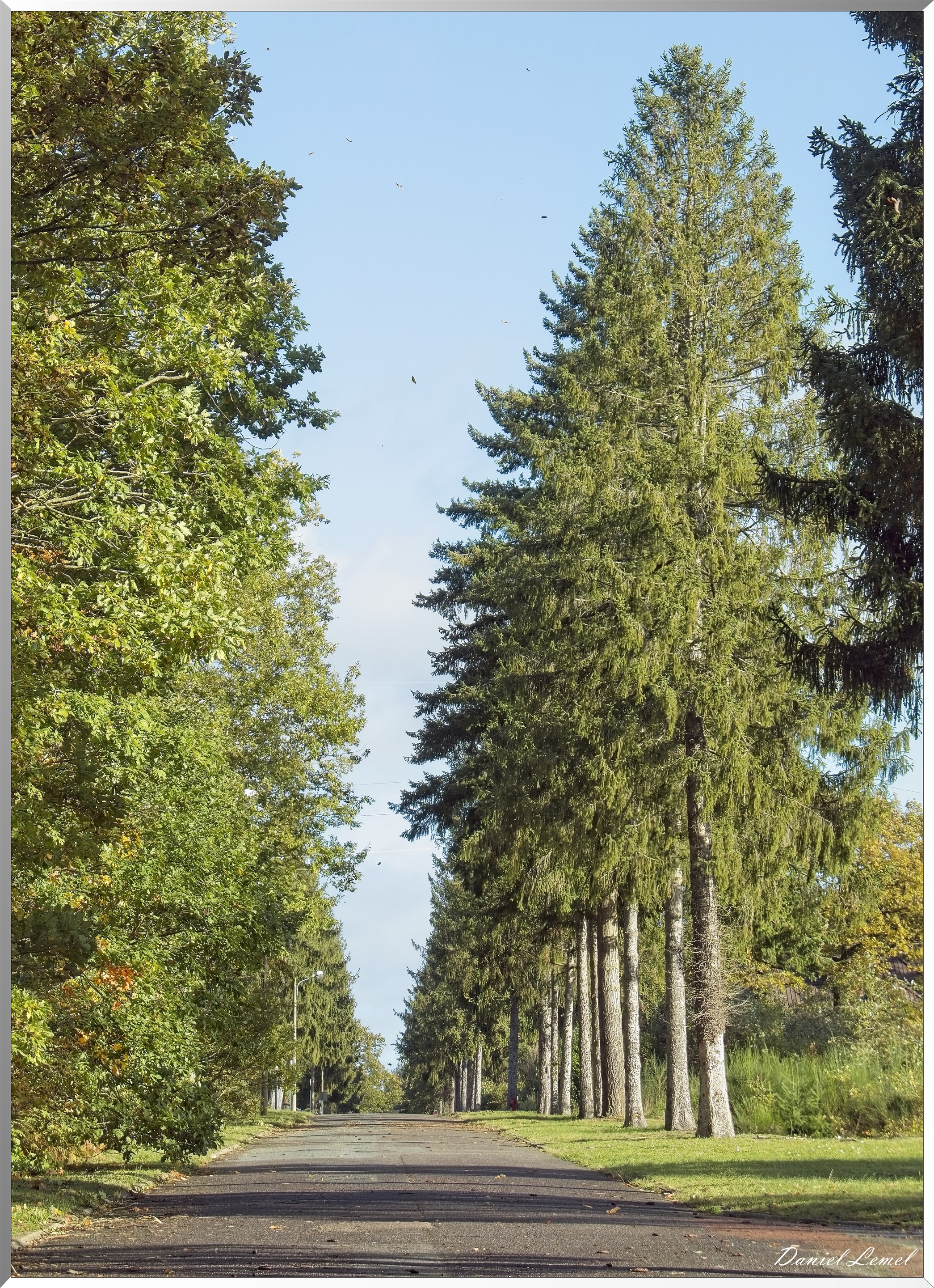 Forêt de Vernon