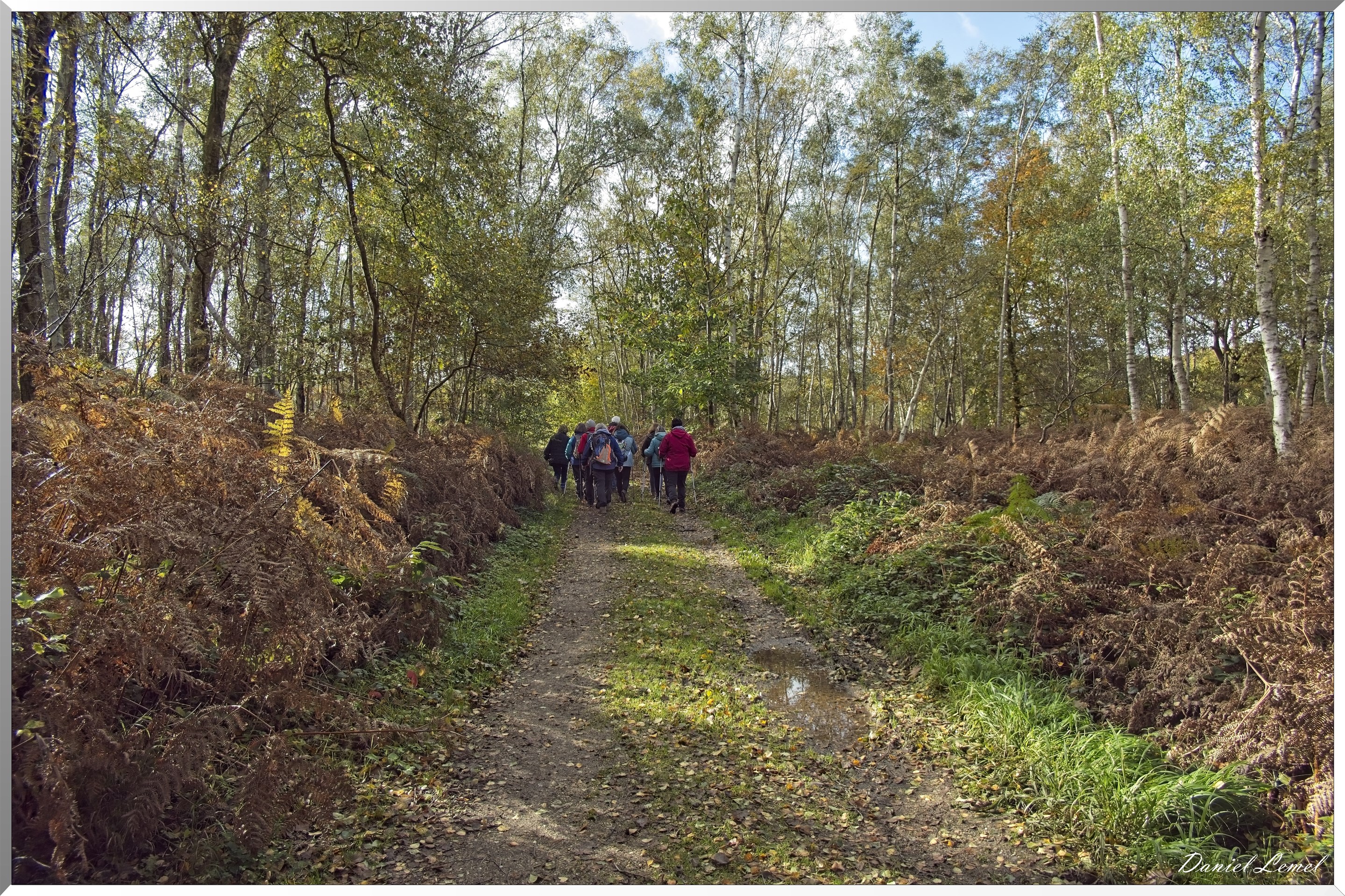 Forêt de Vernon