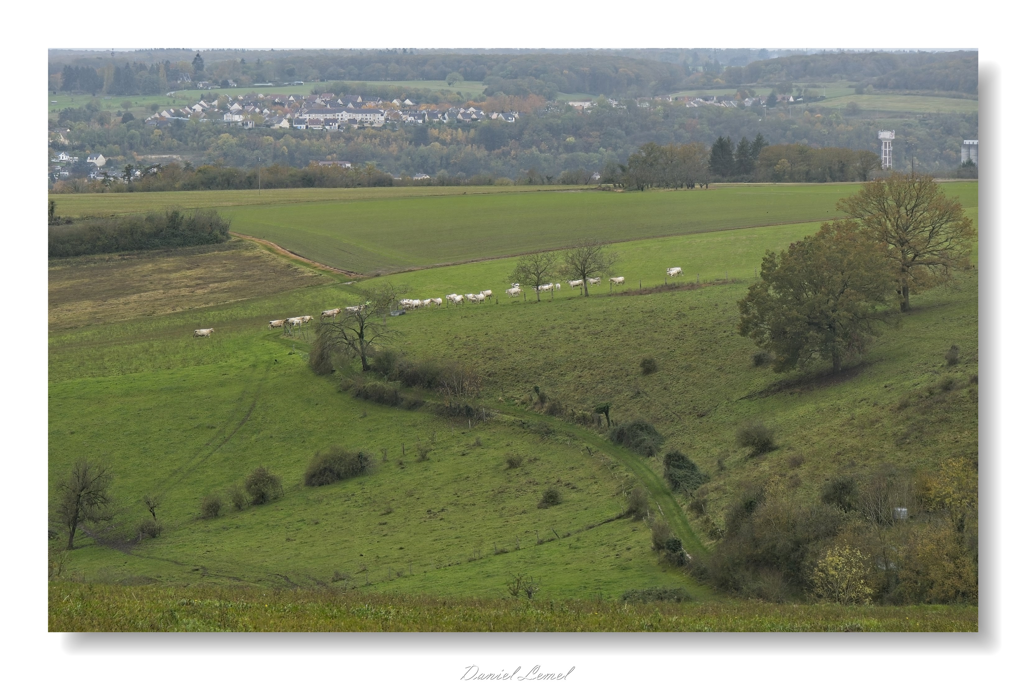 Gommecourt