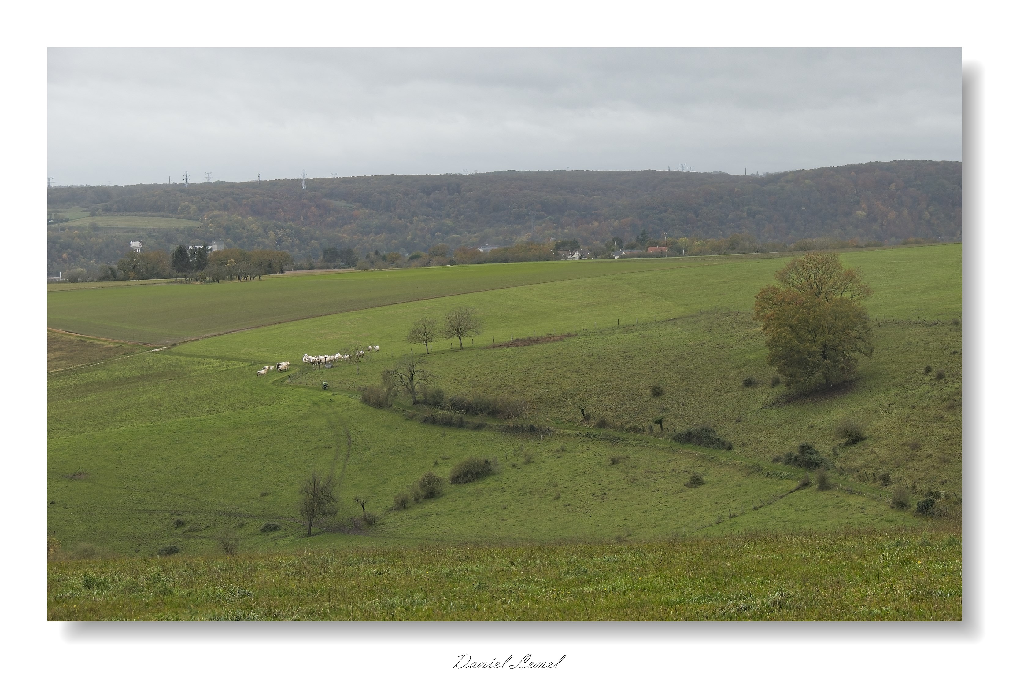 Gommecourt