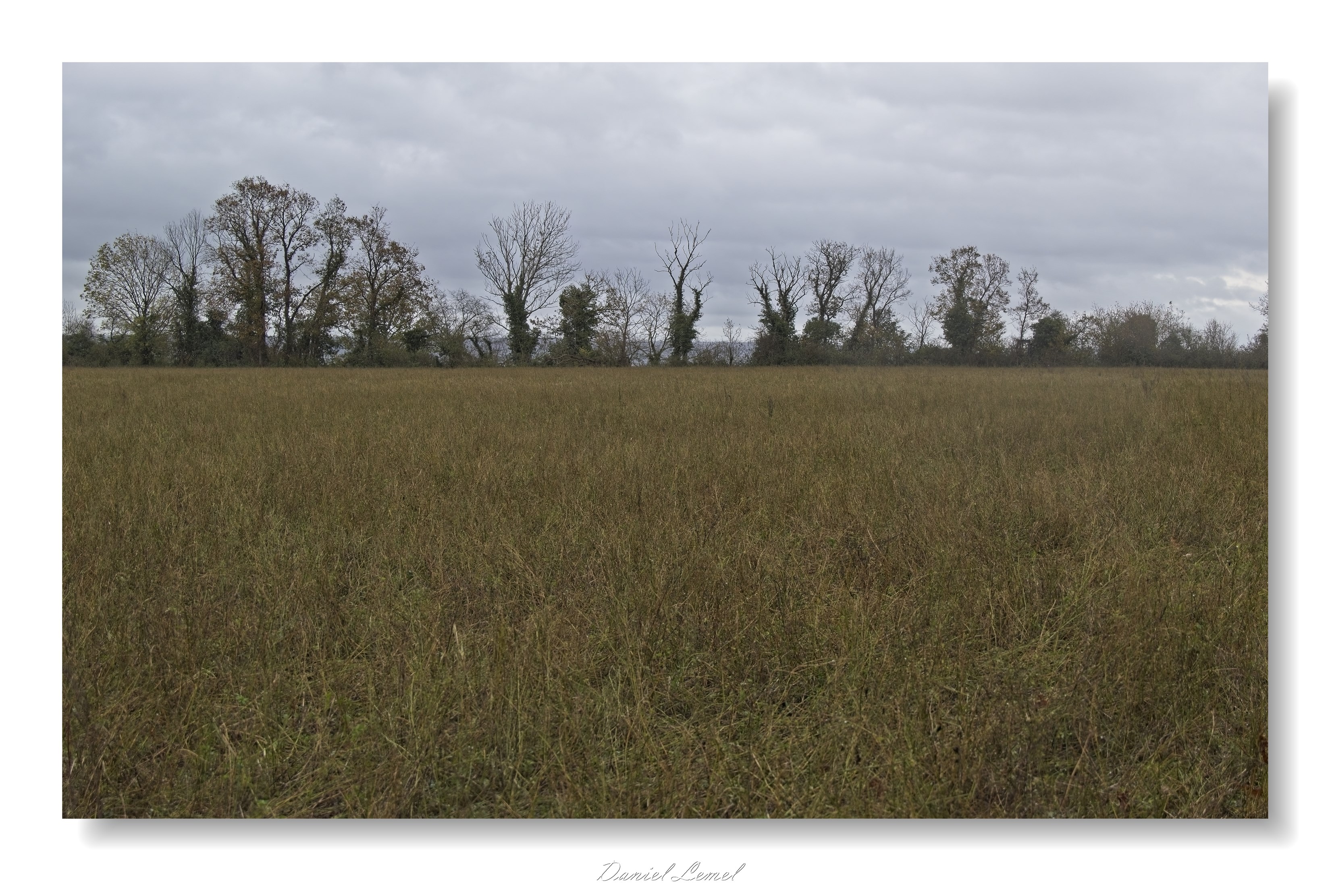 Gommecourt