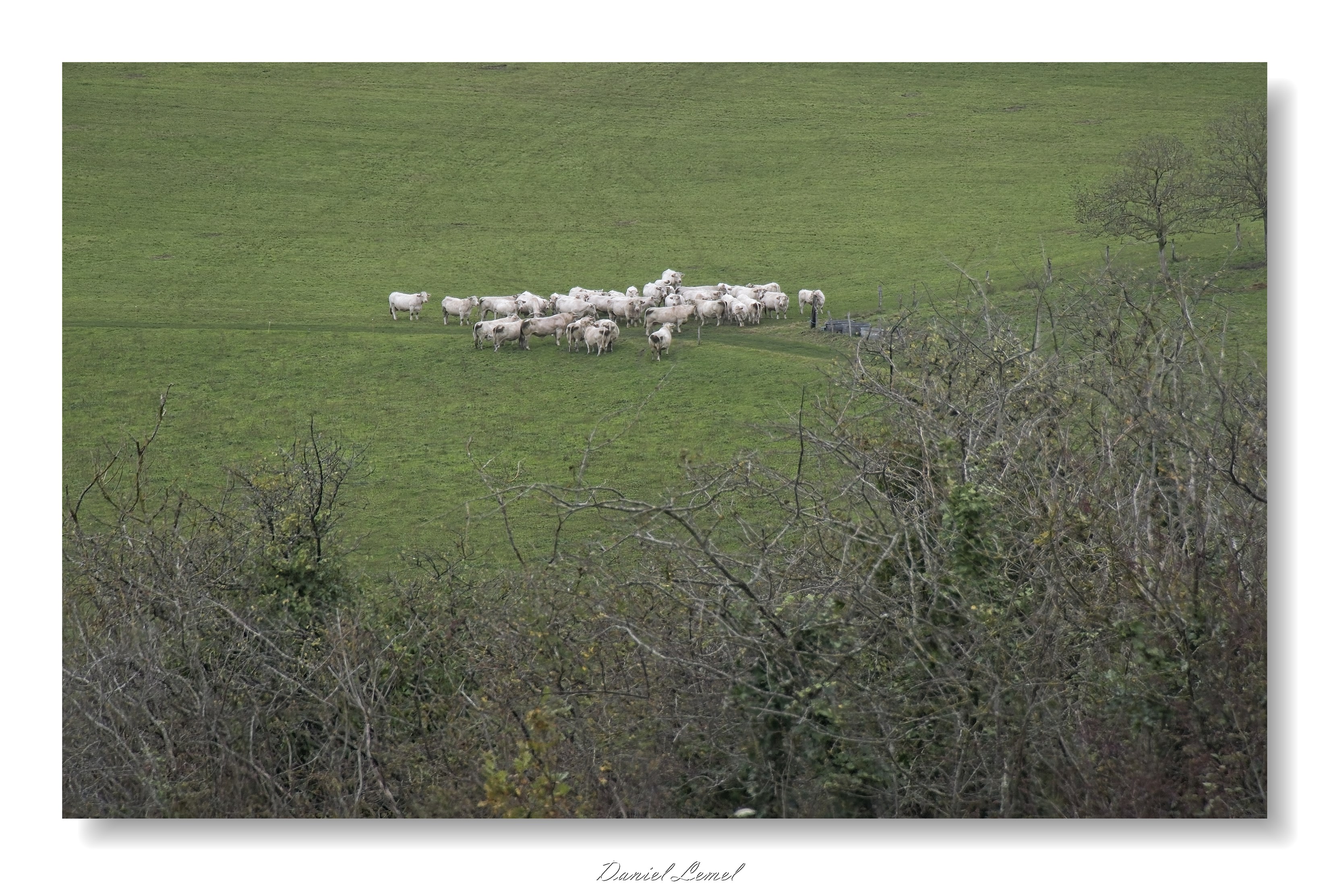 Gommecourt