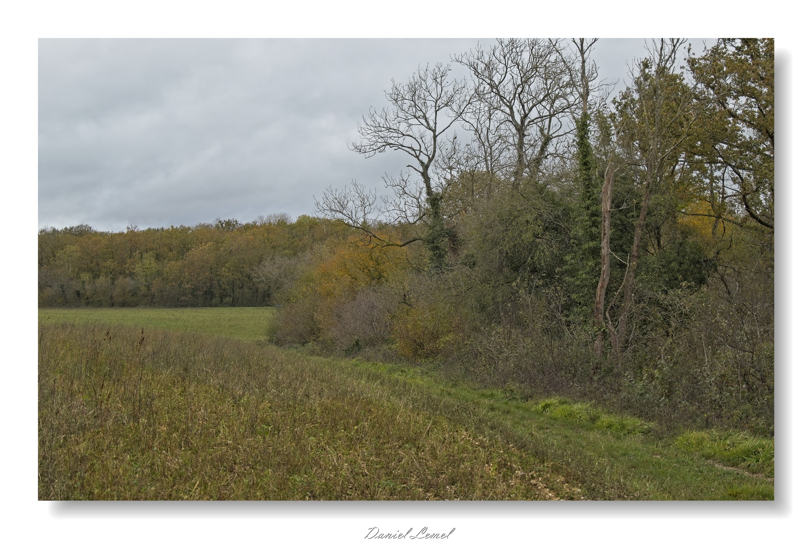 Gommecourt
