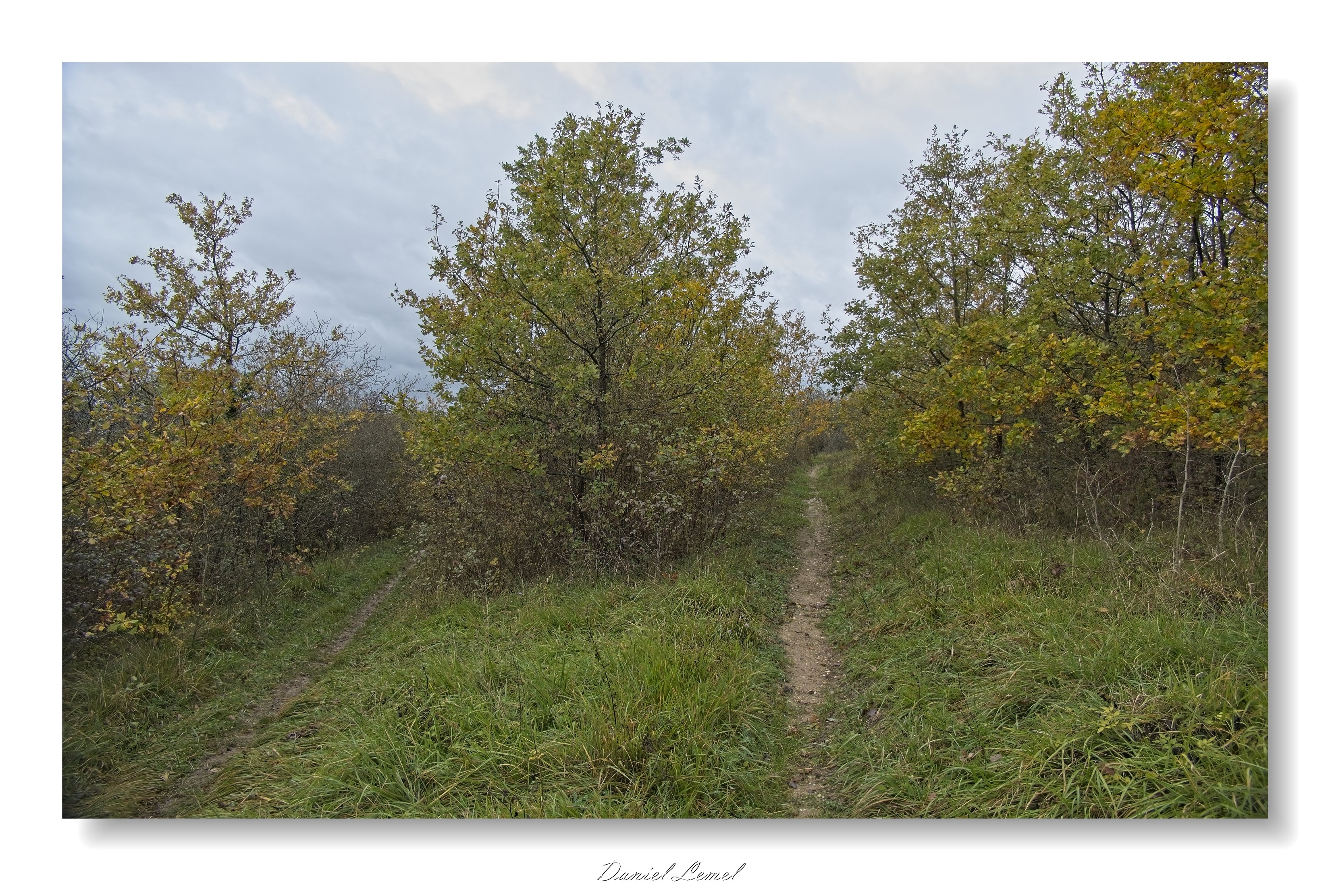 Gommecourt