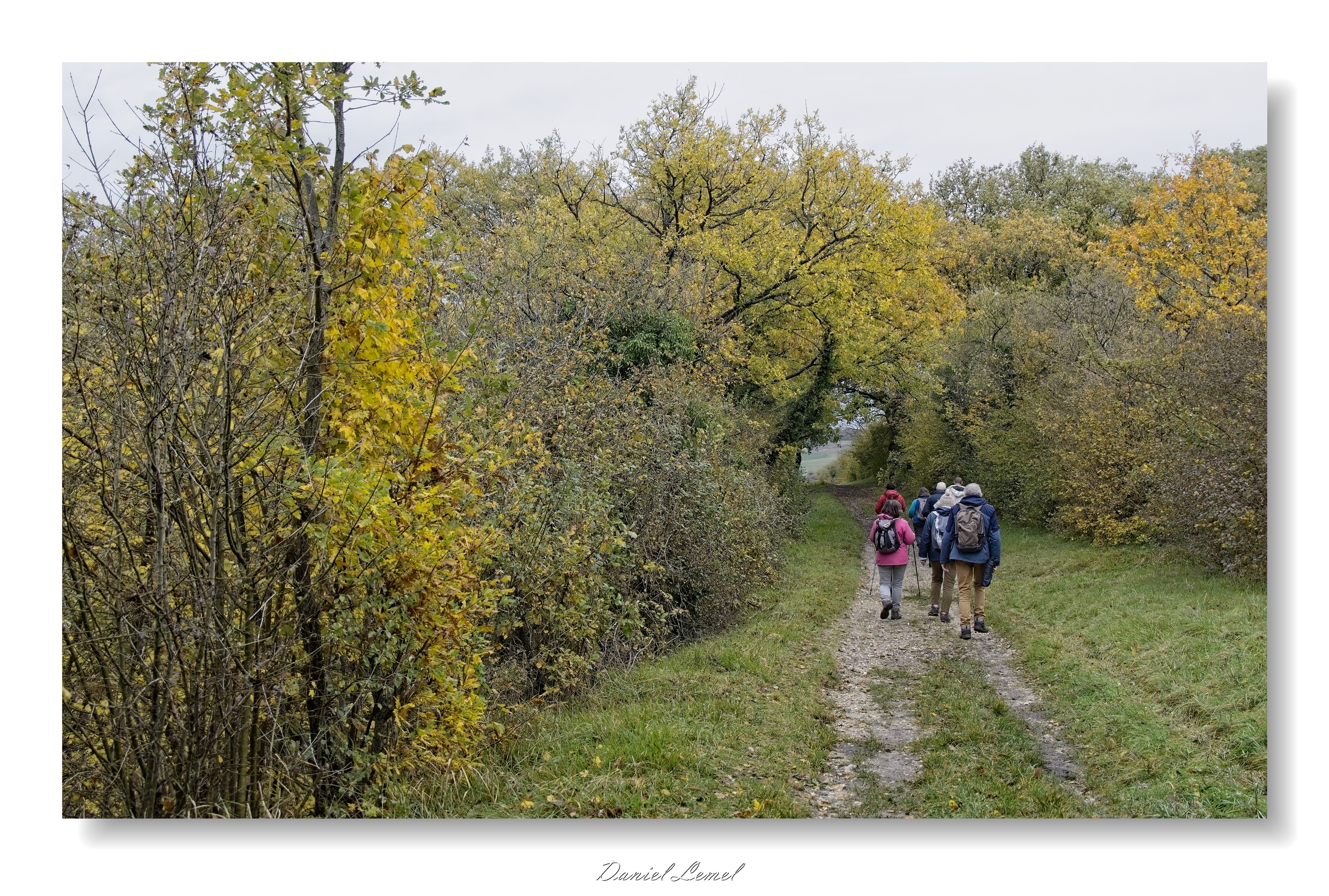 Gommecourt