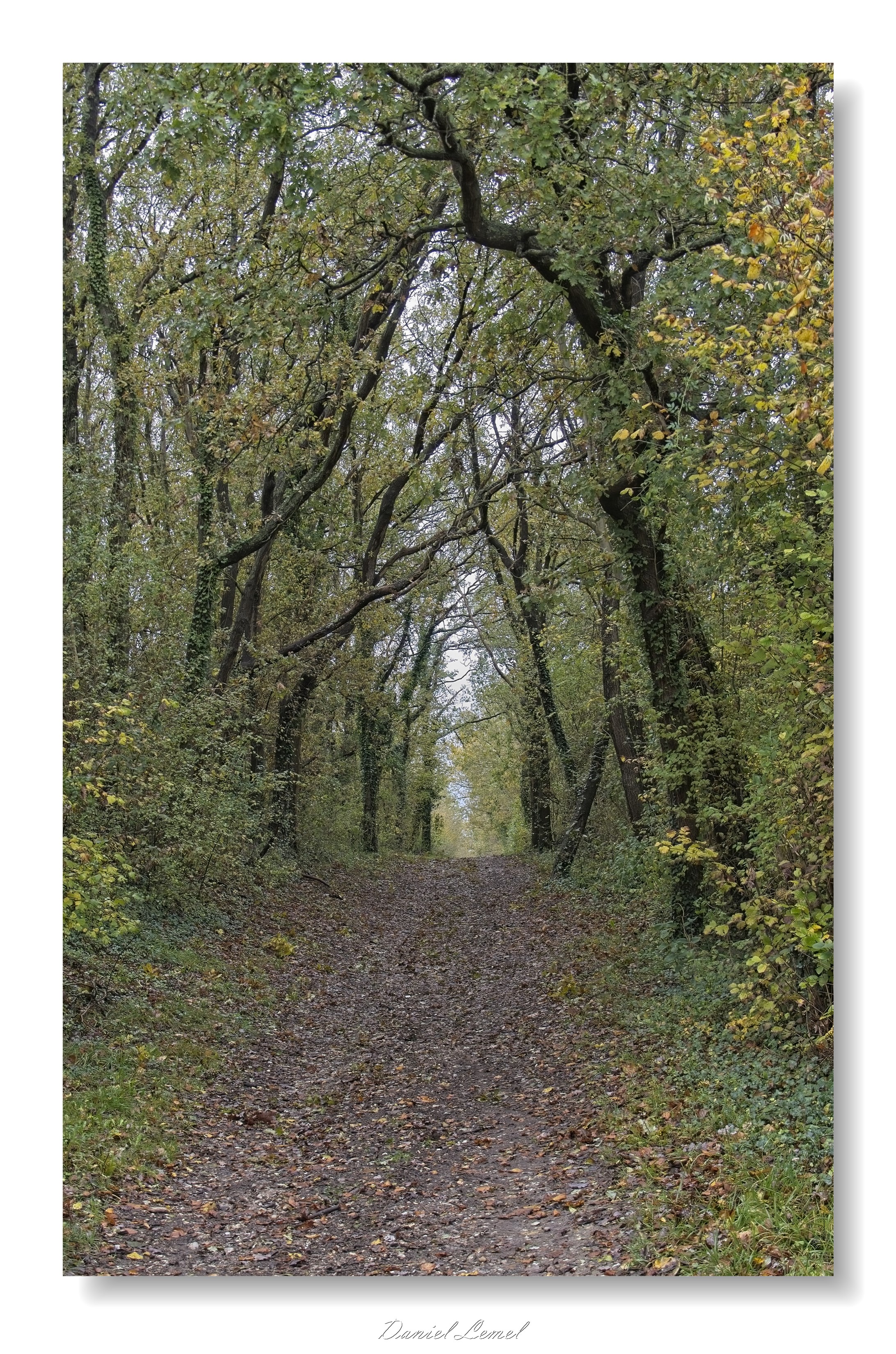 Gommecourt