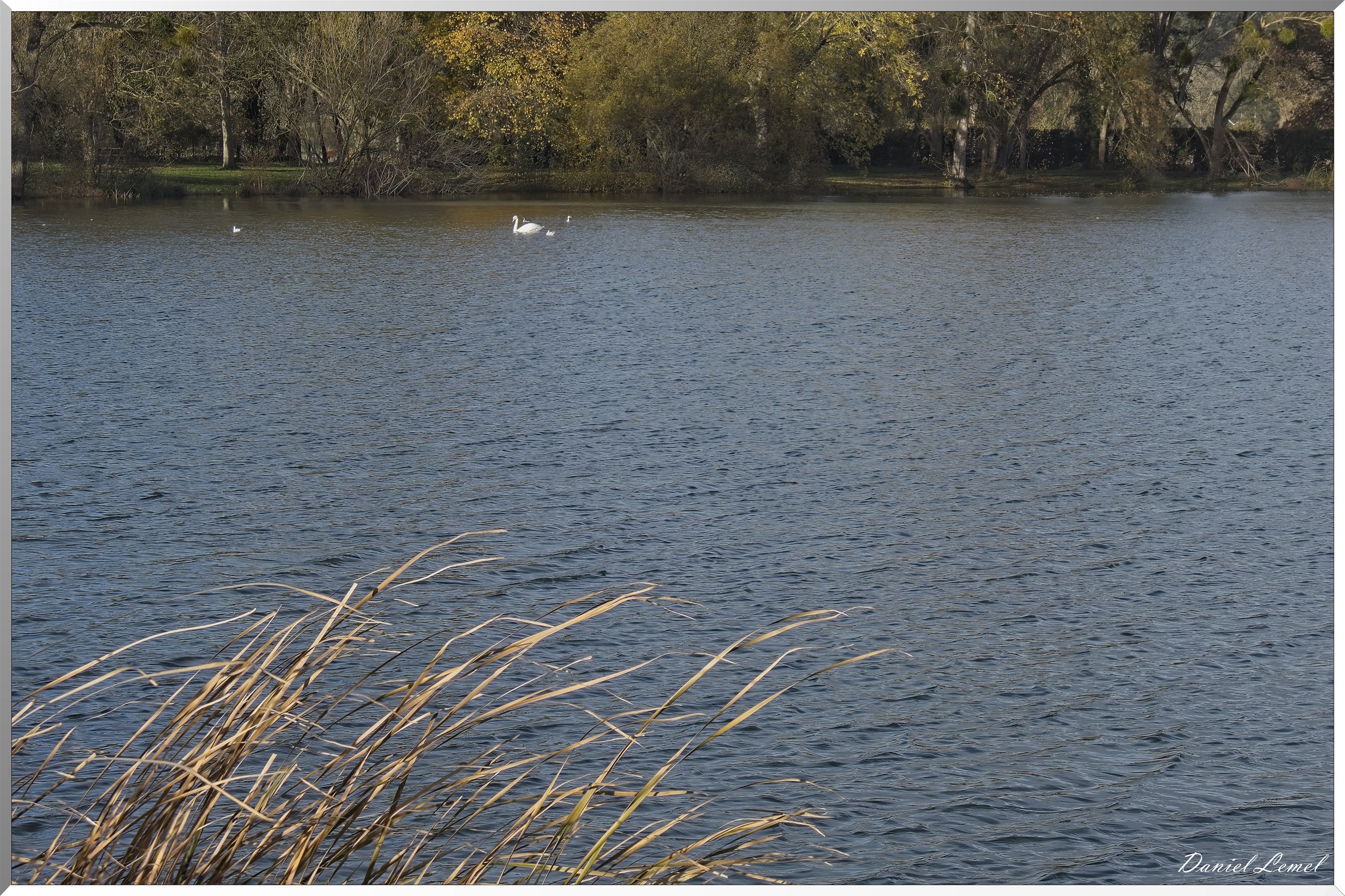 Pacy-sur-Eure