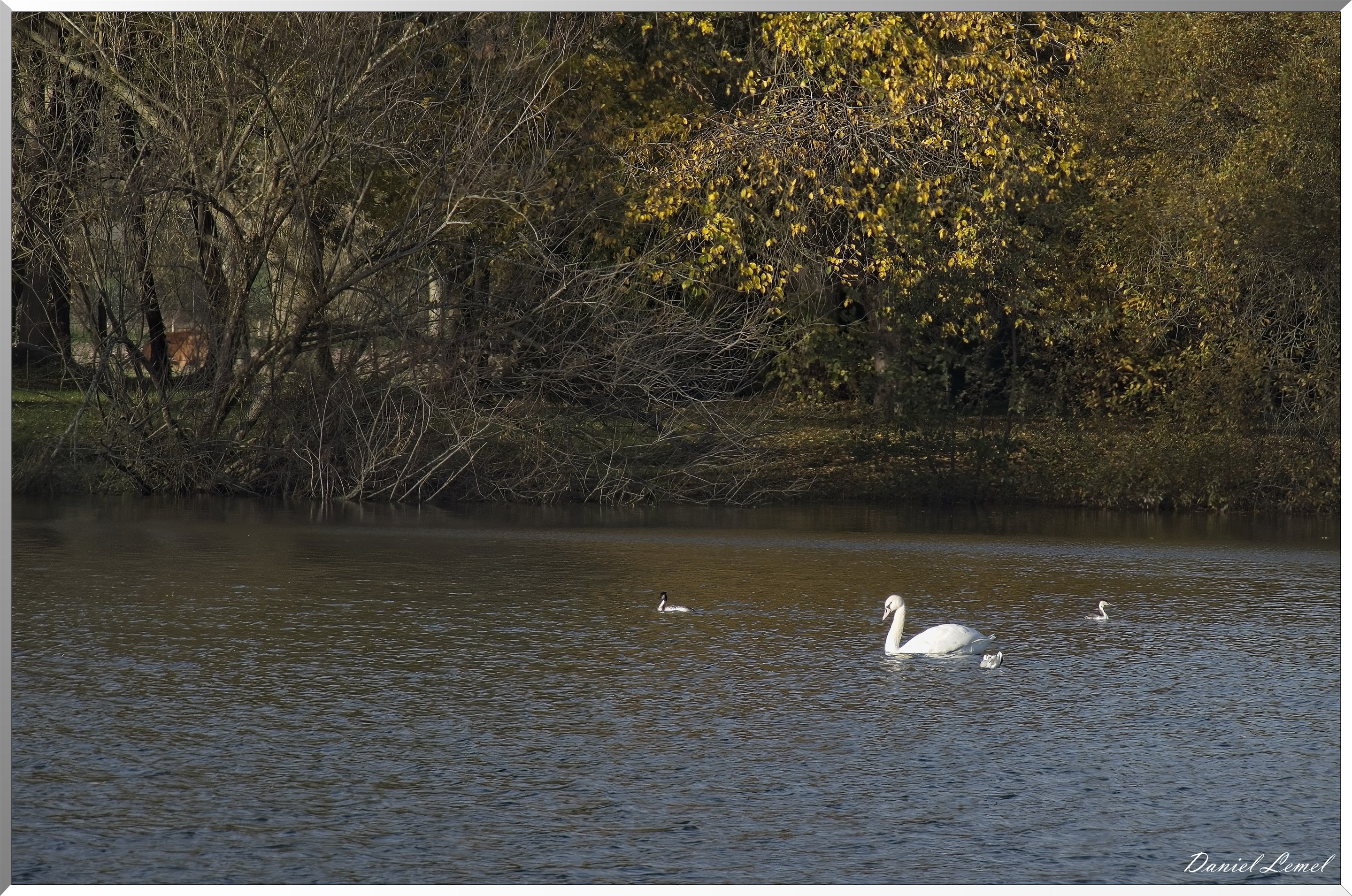 Pacy-sur-Eure